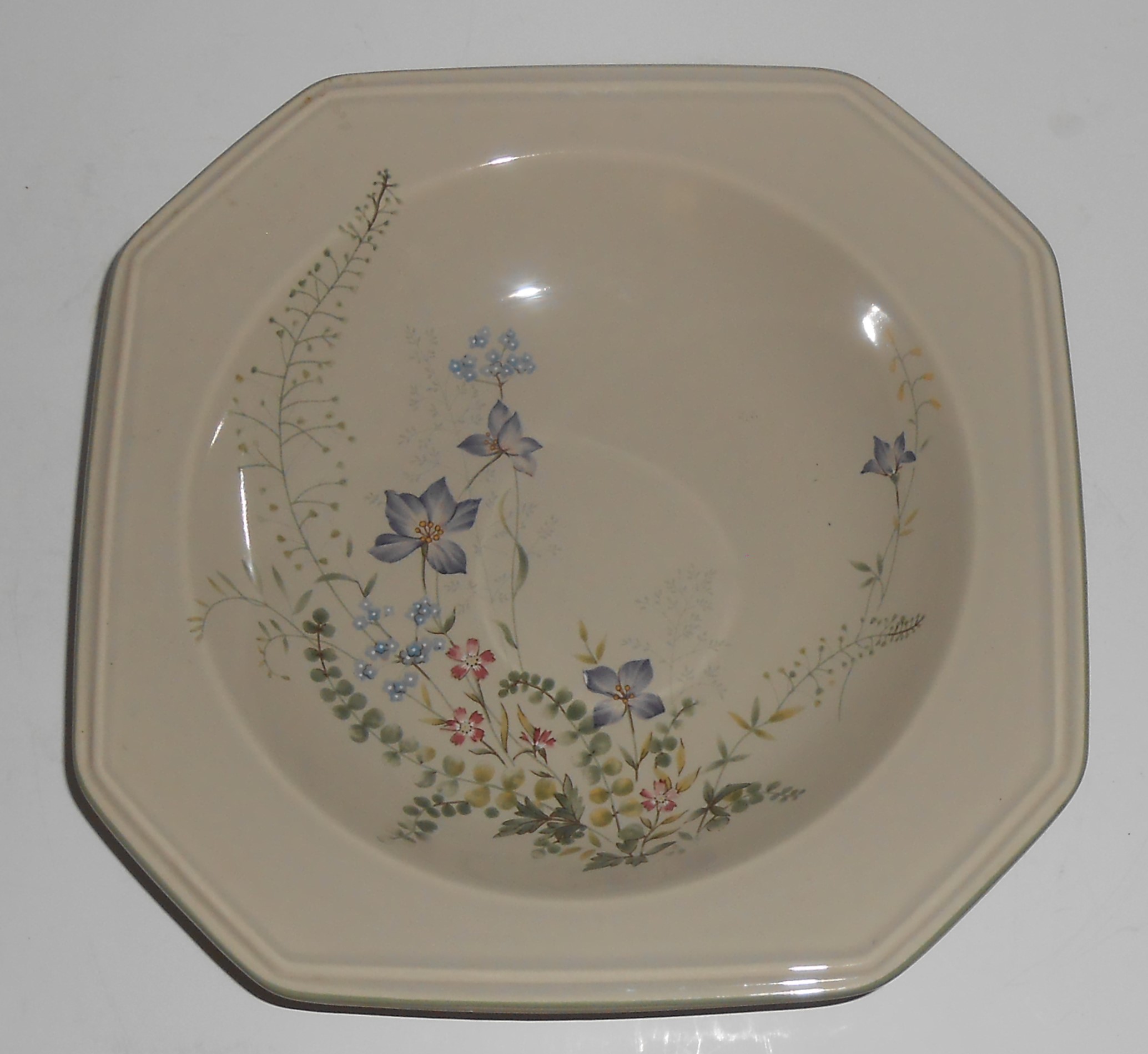 Mikasa Continental China Pottery Natural Charm Rimmed S