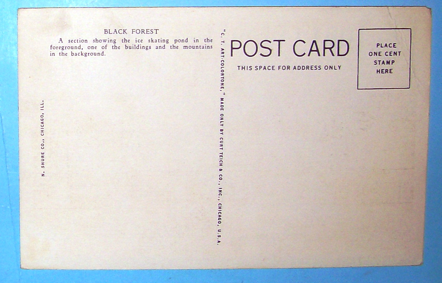 Black Forest Postcard (Chicago World's Fair)