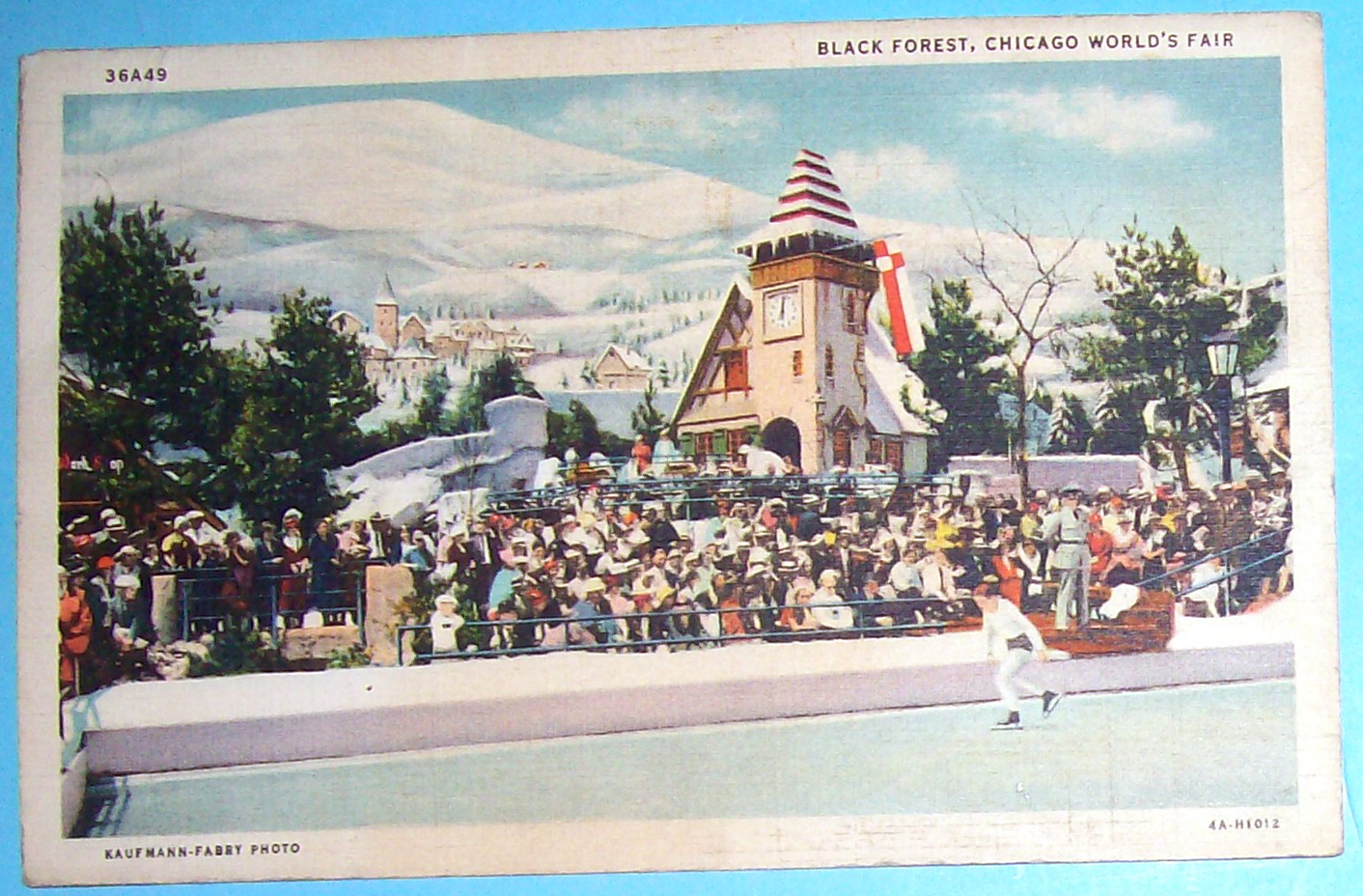 Black Forest Postcard (Chicago World's Fair)