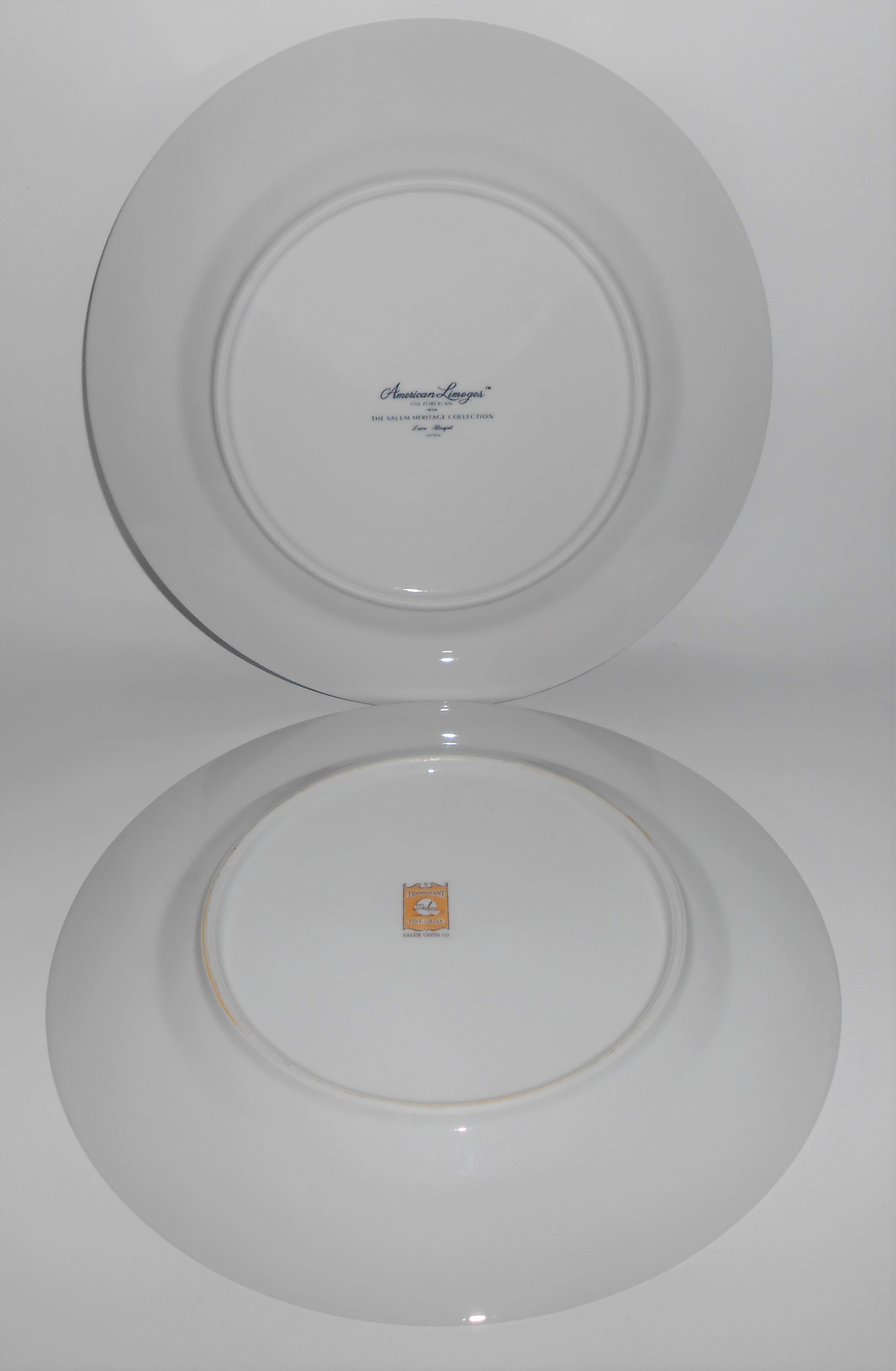 Salem Heritage China Lace Bouquet Platinum Dinner Plate