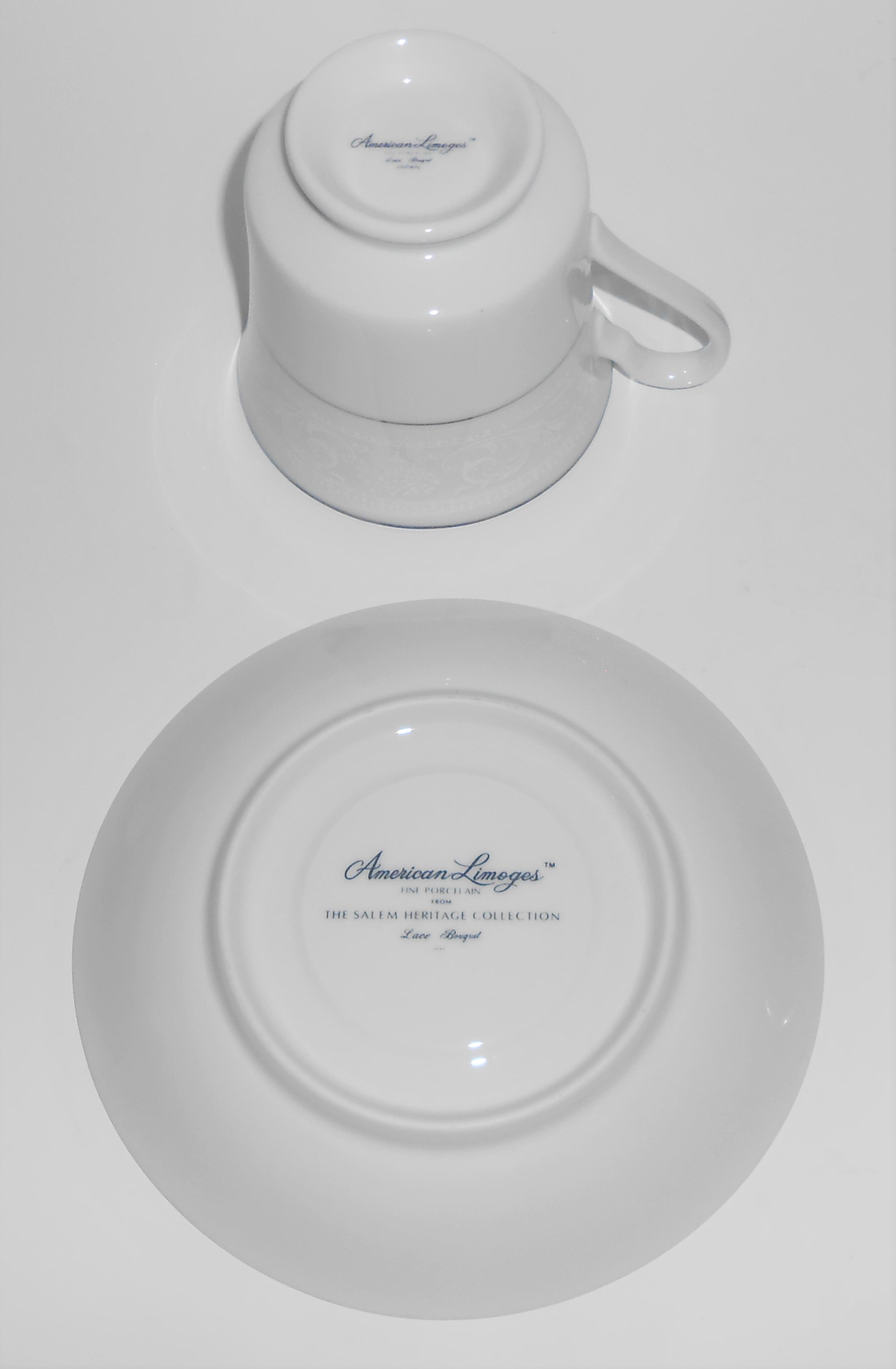 Salem Heritage China Lace Bouquet Platinum Cup & Saucer