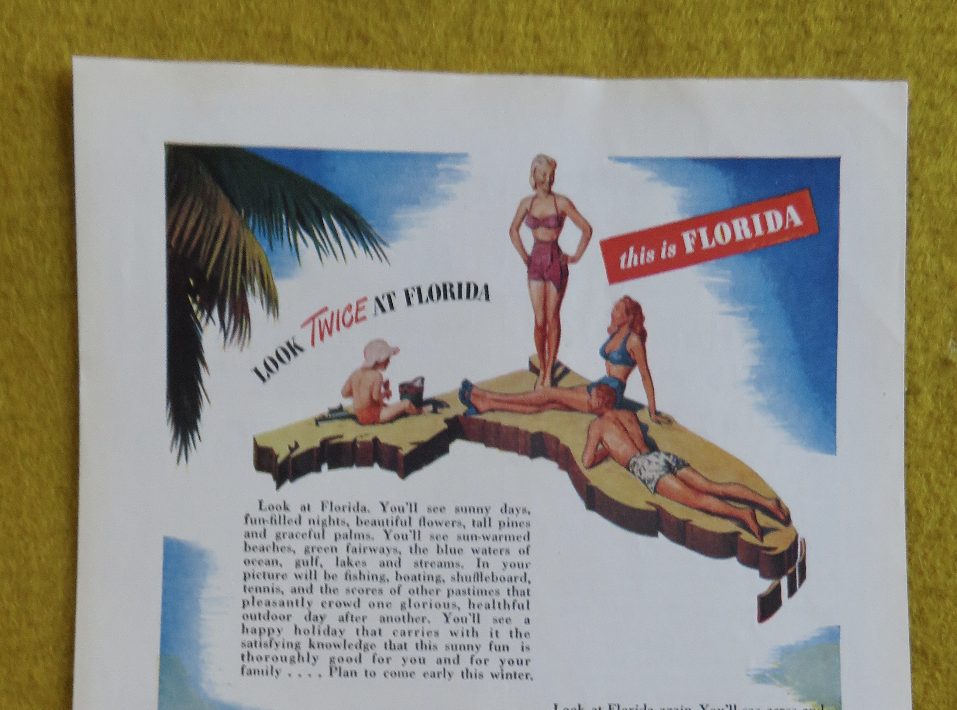 1946 Florida with Look Twice At Florida