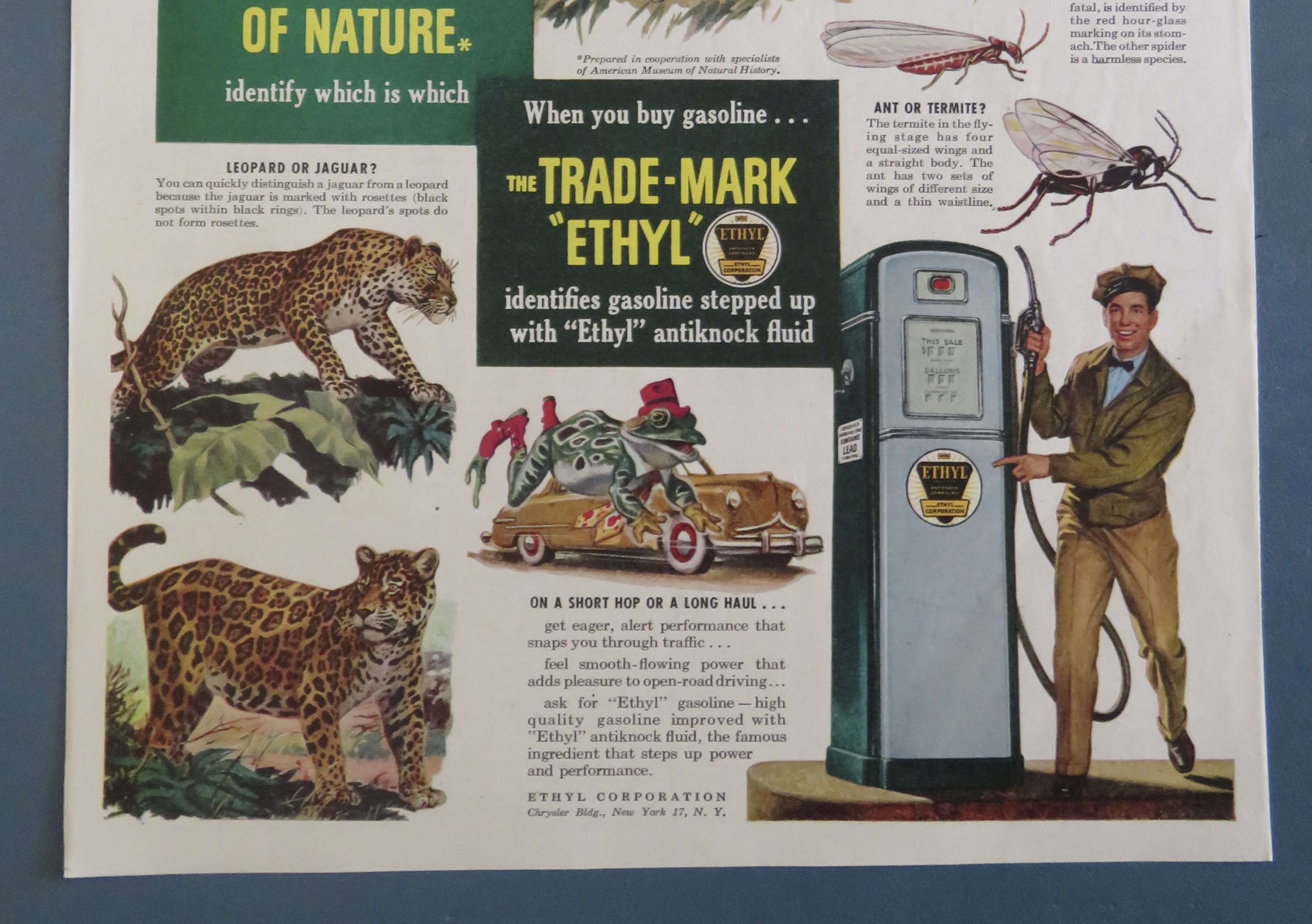 1940's Ethyl Gasoline with Look Alikes