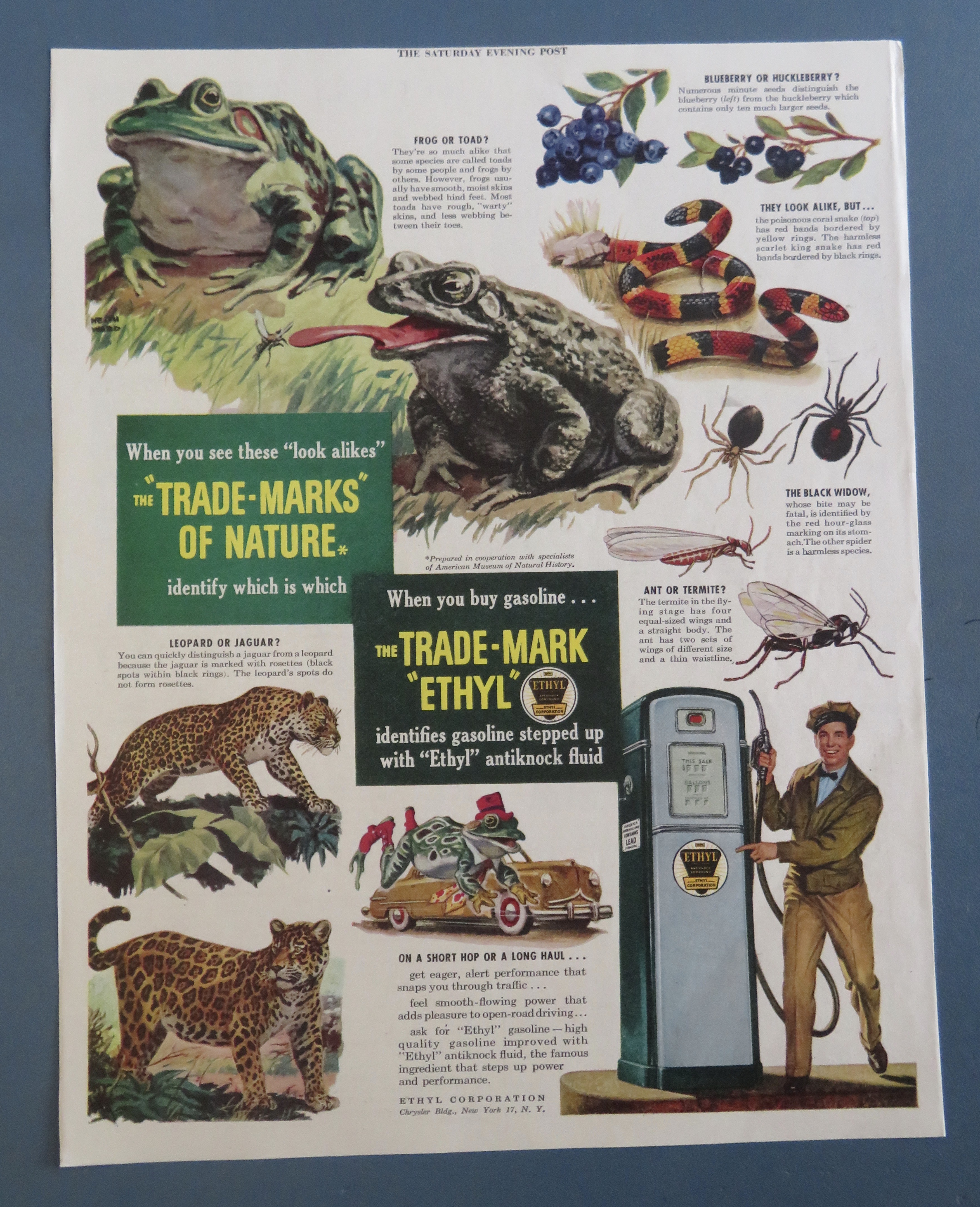 1940's Ethyl Gasoline with Look Alikes
