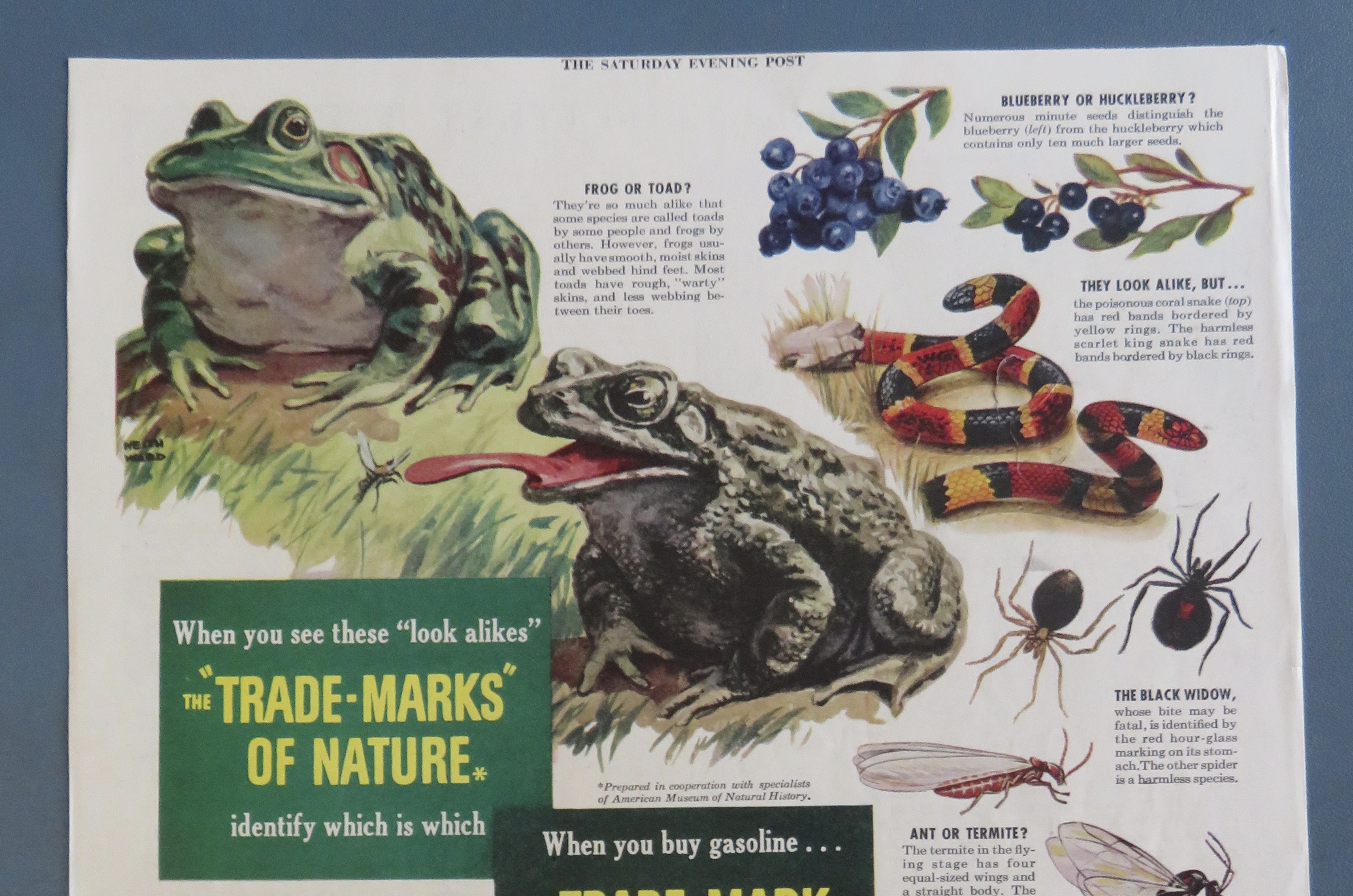 1940's Ethyl Gasoline with Look Alikes