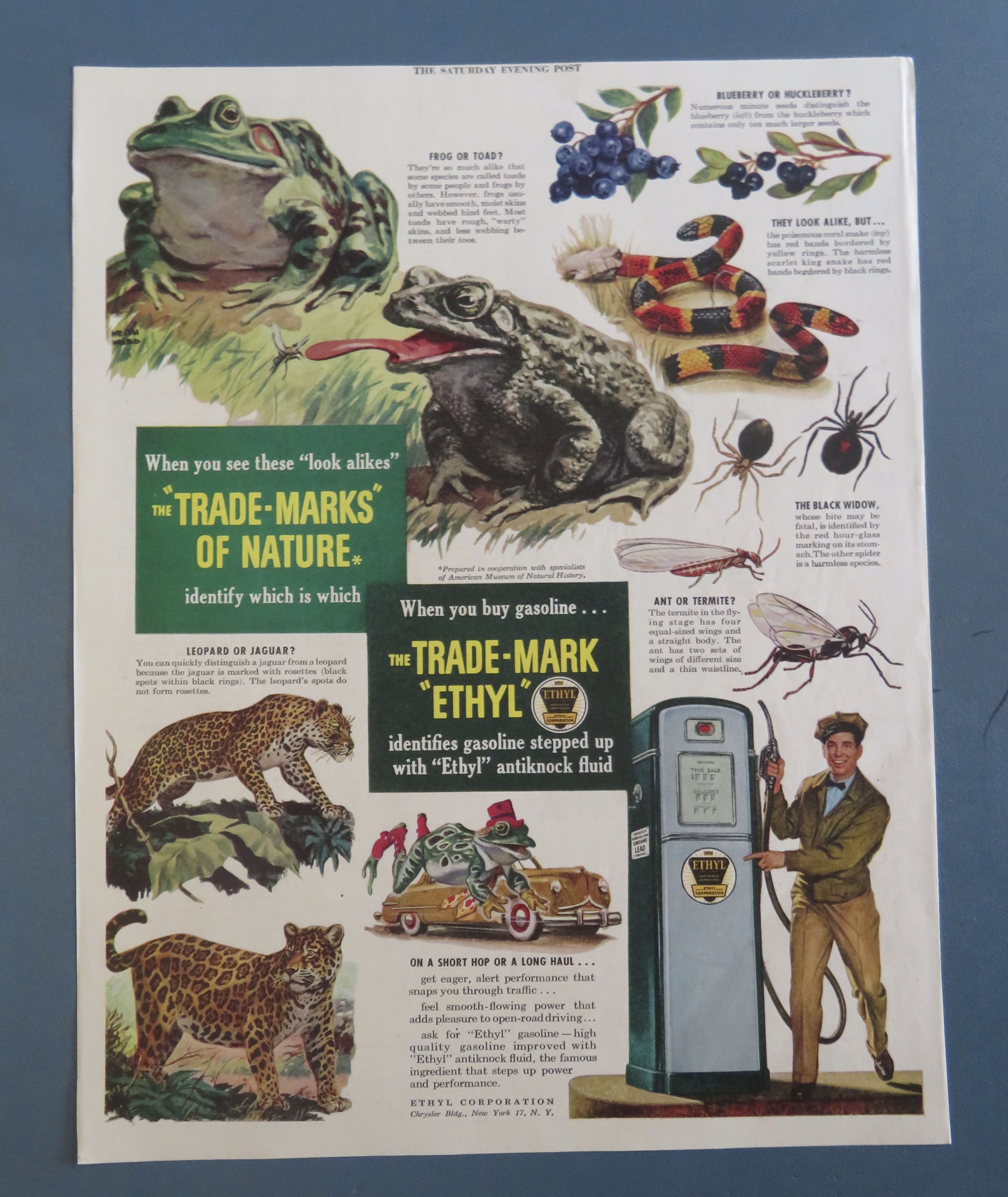 1940's Ethyl Gasoline with Look Alikes