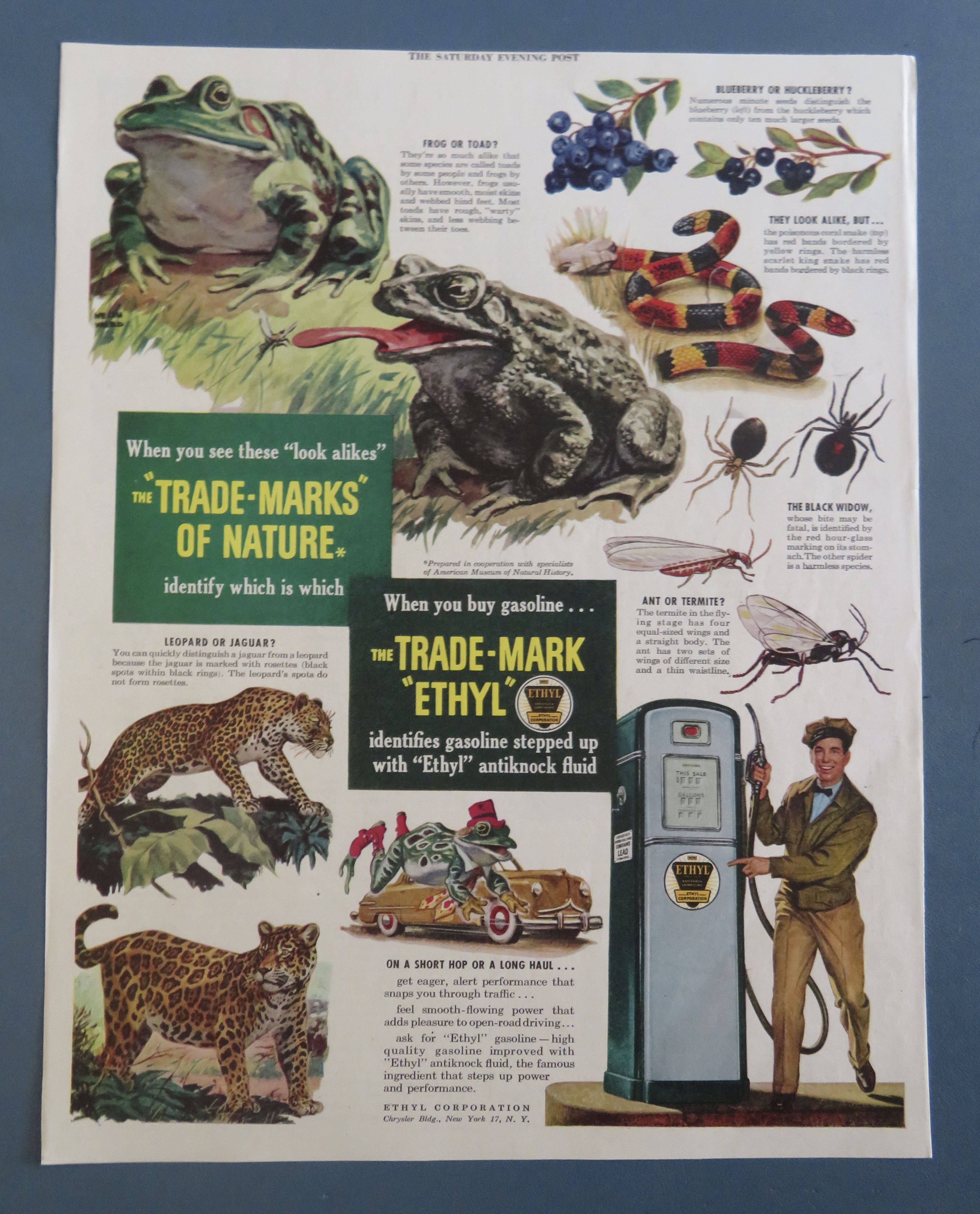 1940's Ethyl Gasoline with Look Alikes