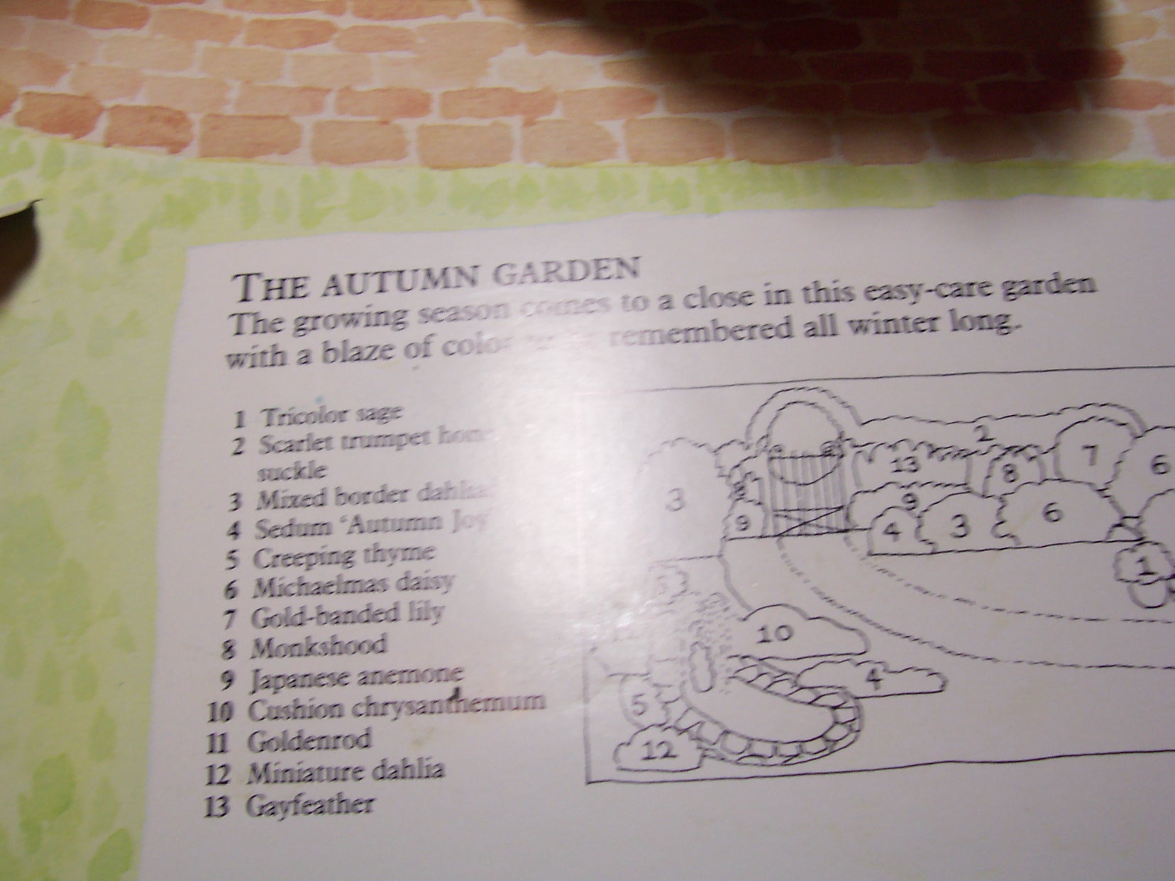 Old Fashioned Gardens Pop Up Book