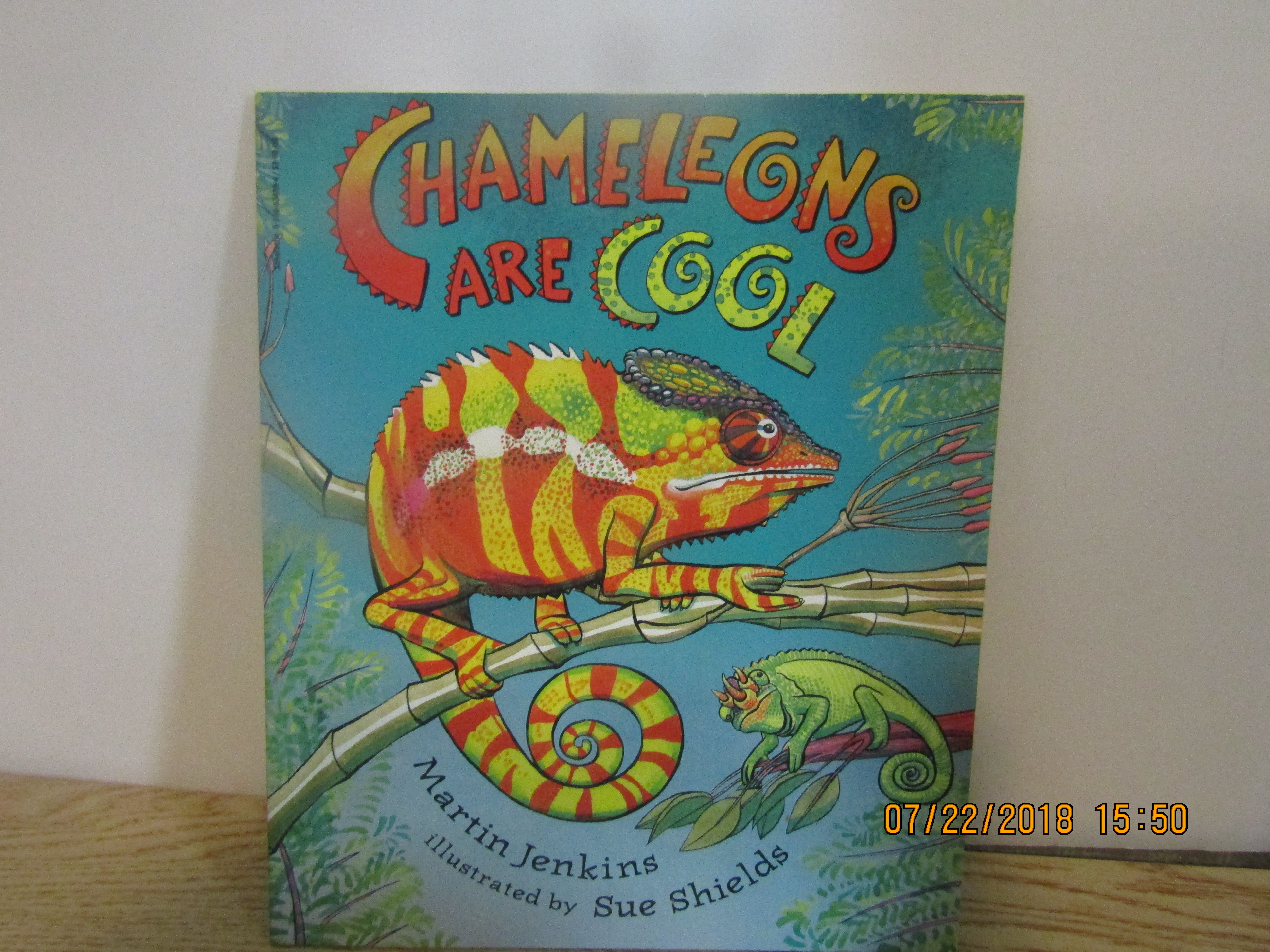 Scholastic Young Readers Book Chameleons Are Cool