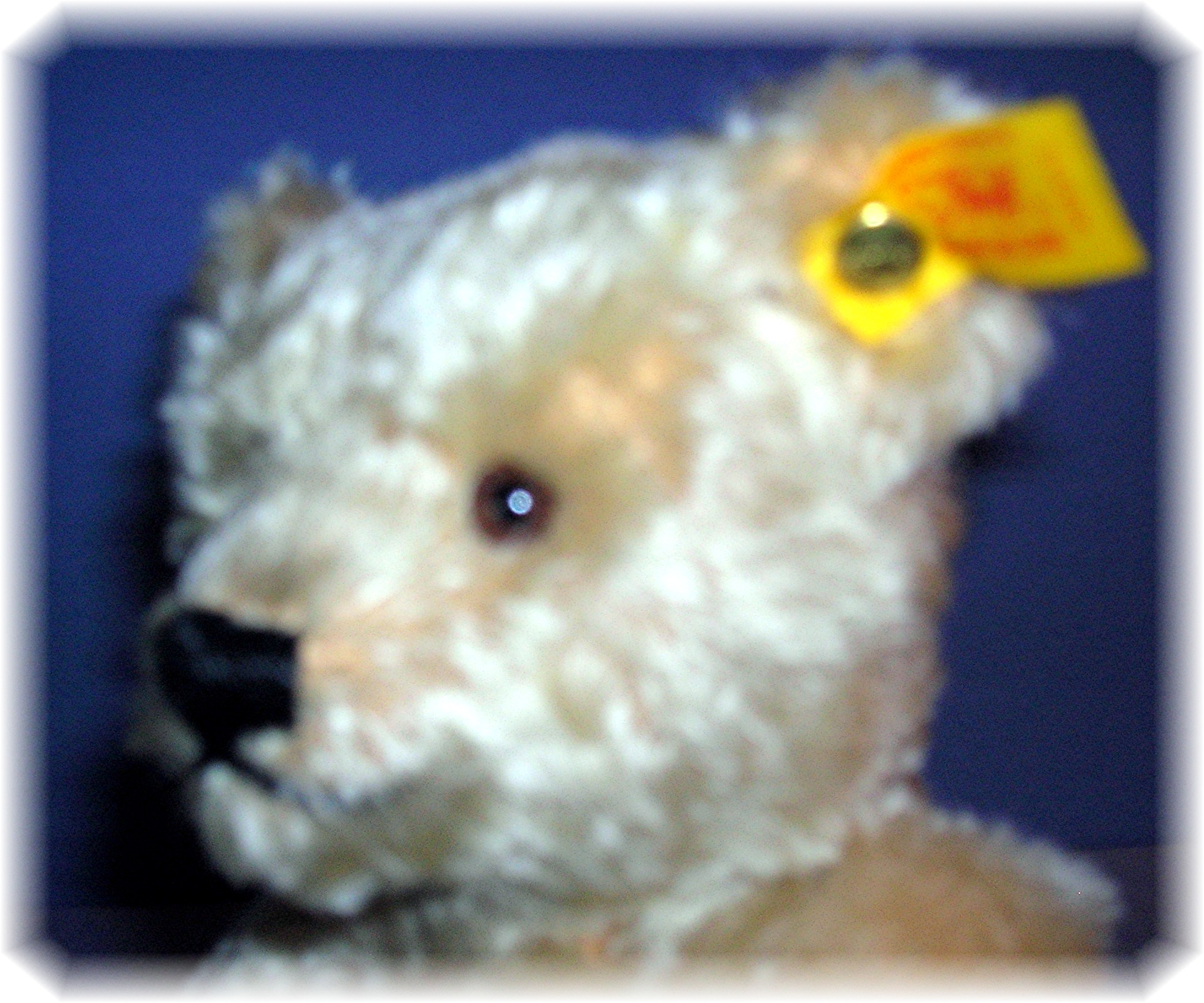 10 Inch Blonde Mohair Steiff Teddy Bear