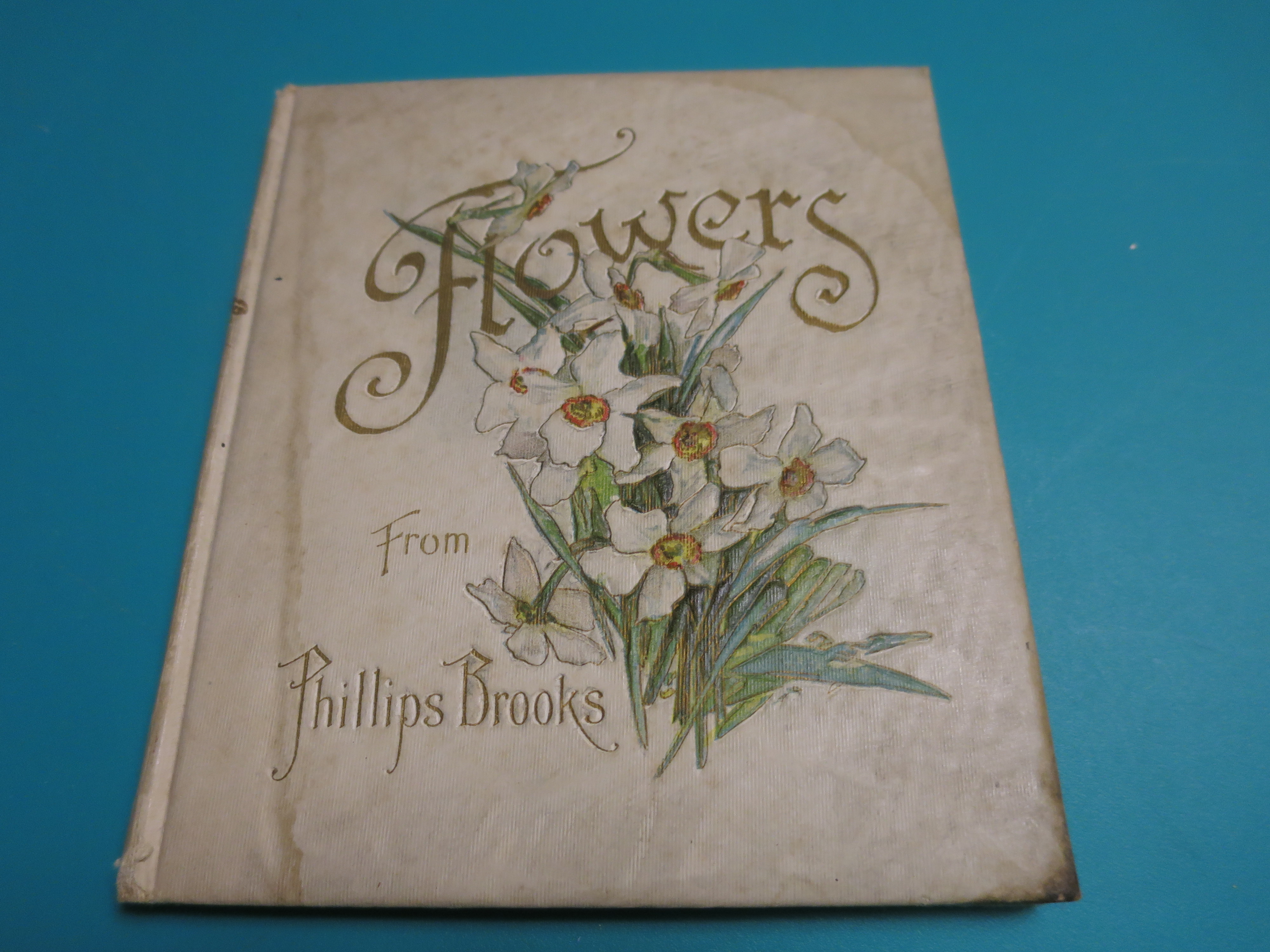 Flowers from Phillips Brooks 1906