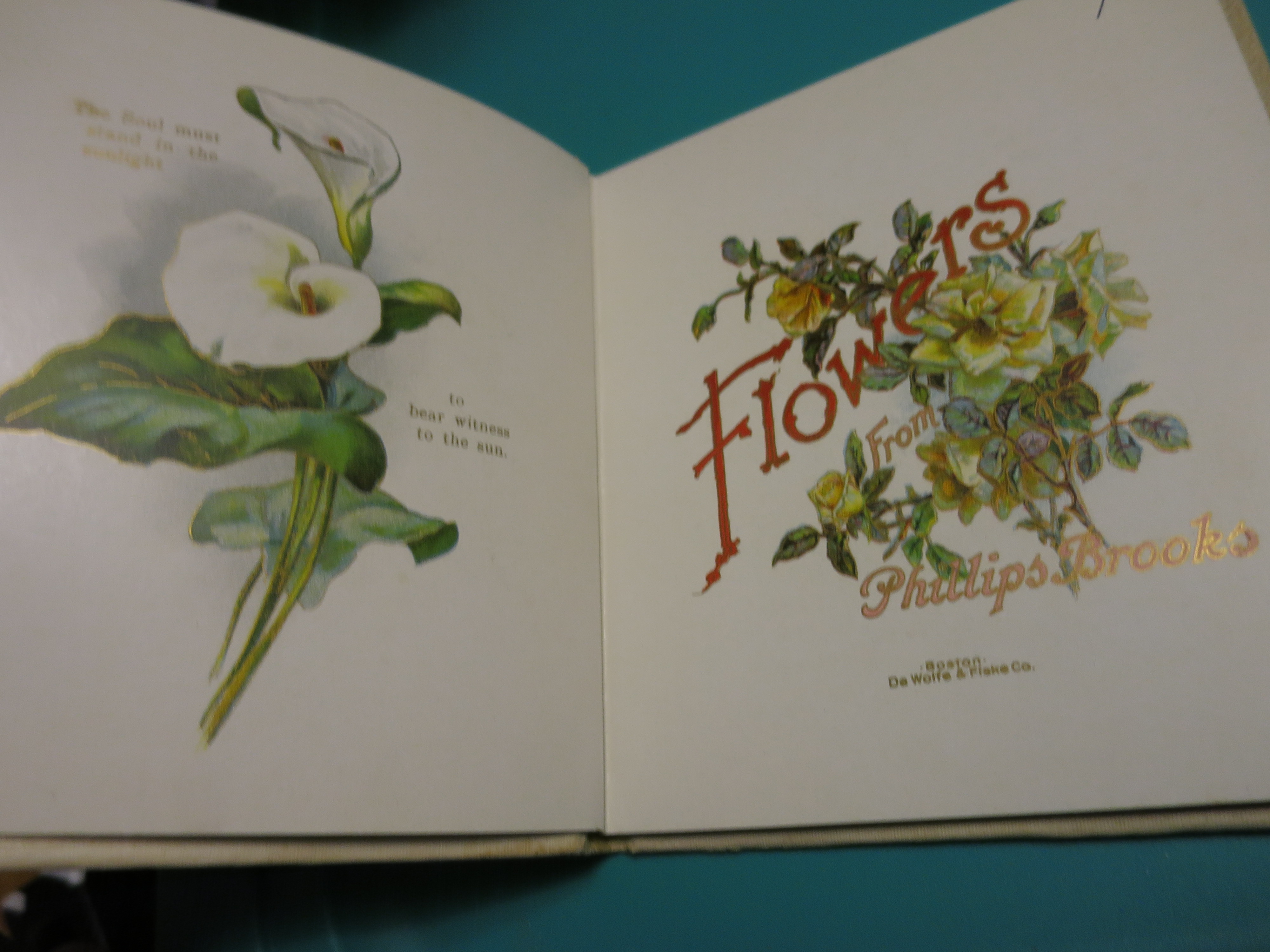 Flowers from Phillips Brooks 1906