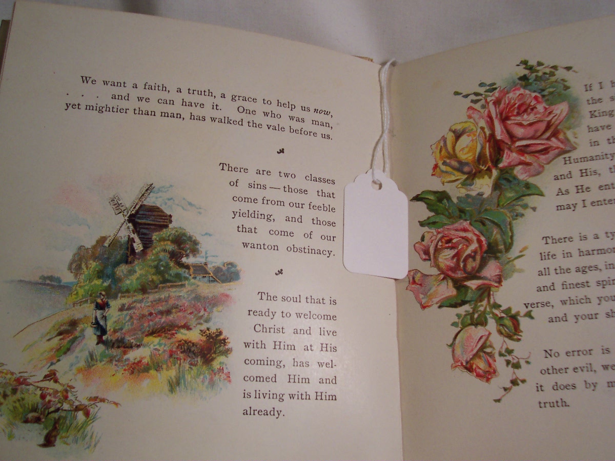 Flowers from Phillips Brooks 1906