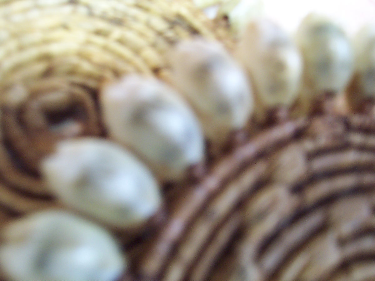 Basket Weave Coaster Set with Sea Shells