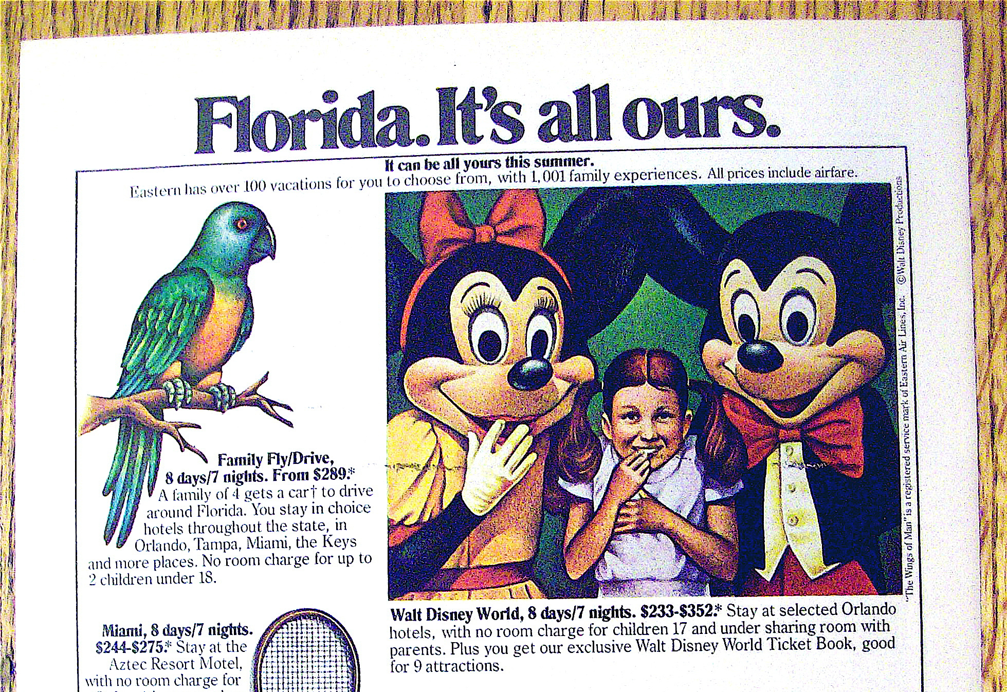 1977 Eastern Air Lines with Mickey & Minnie Mouse