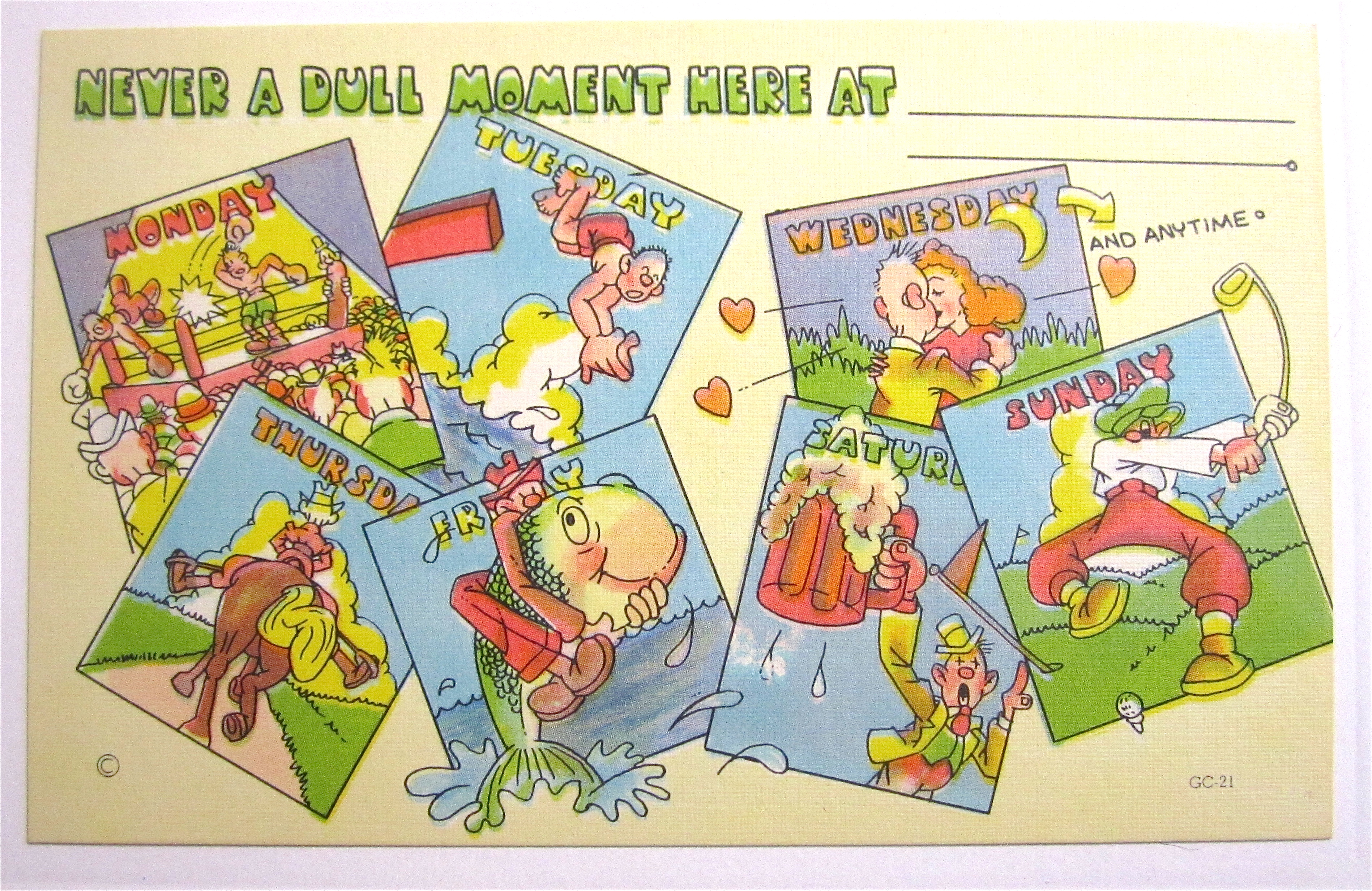 Never A Dull Moment Postcard