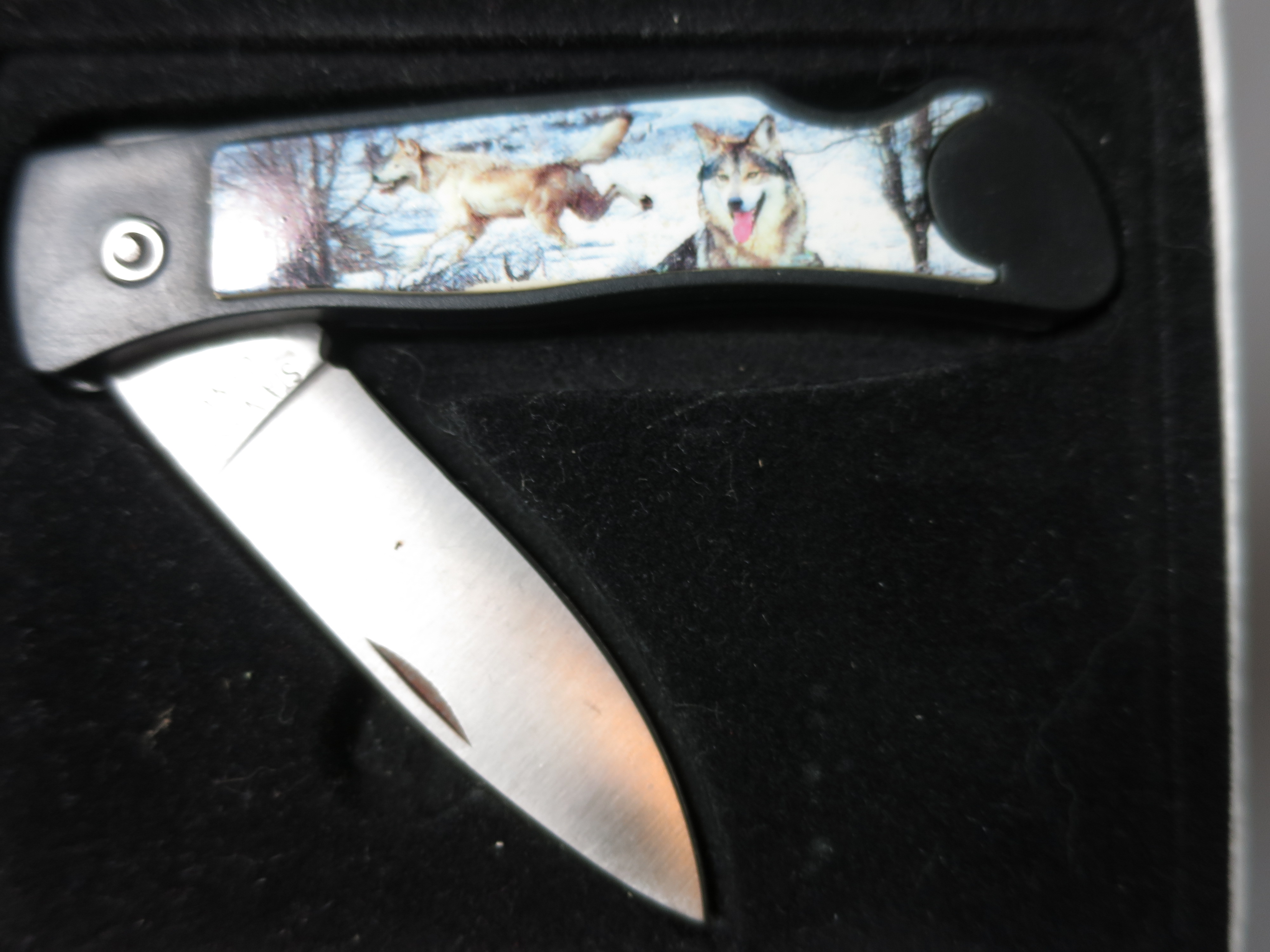 Wolfe Stainless Steel Blade Jack Knife Pocket Knife
