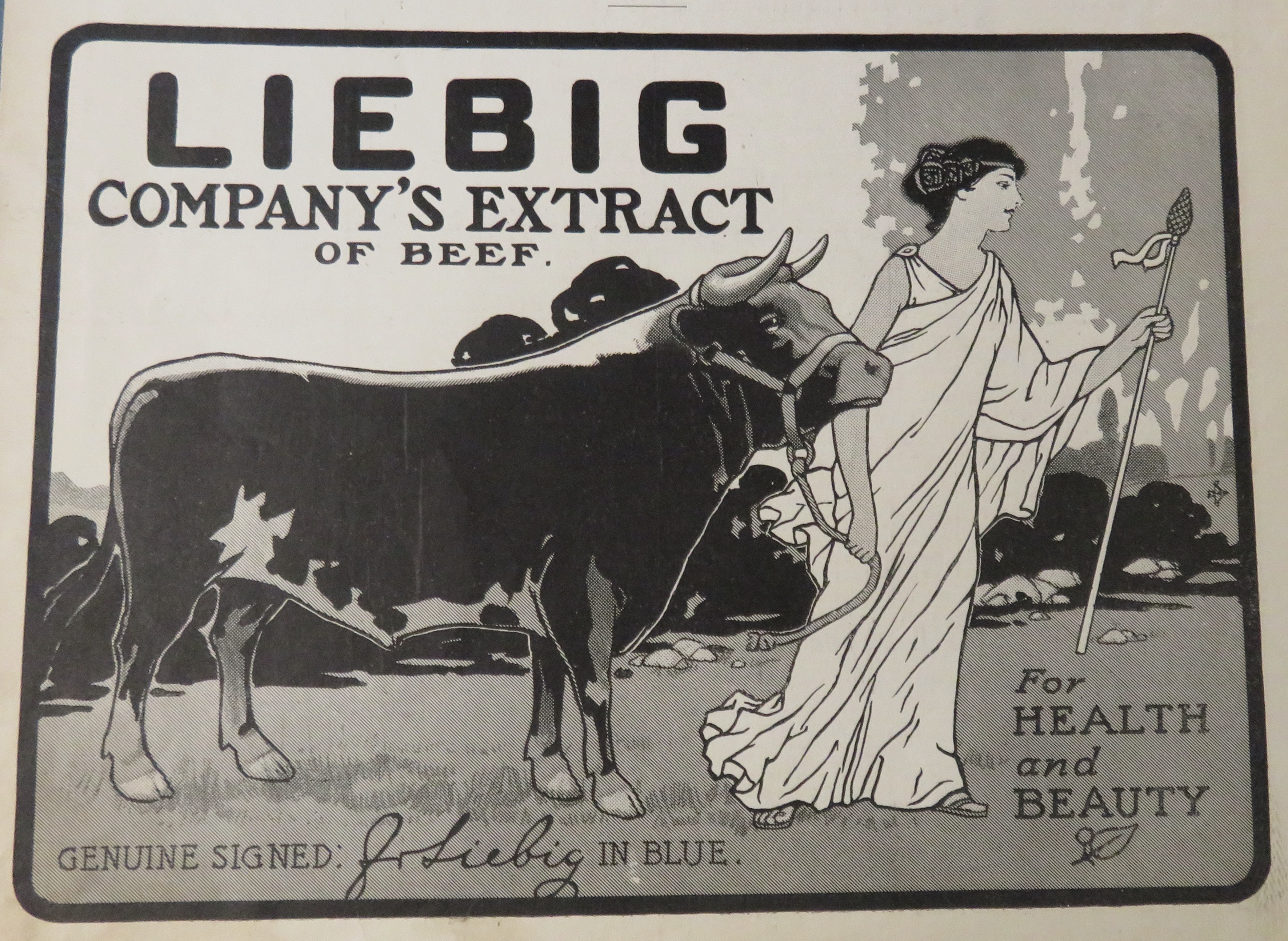 1900 Liebig Company's Extract Of Beef w/ Woman & Cow