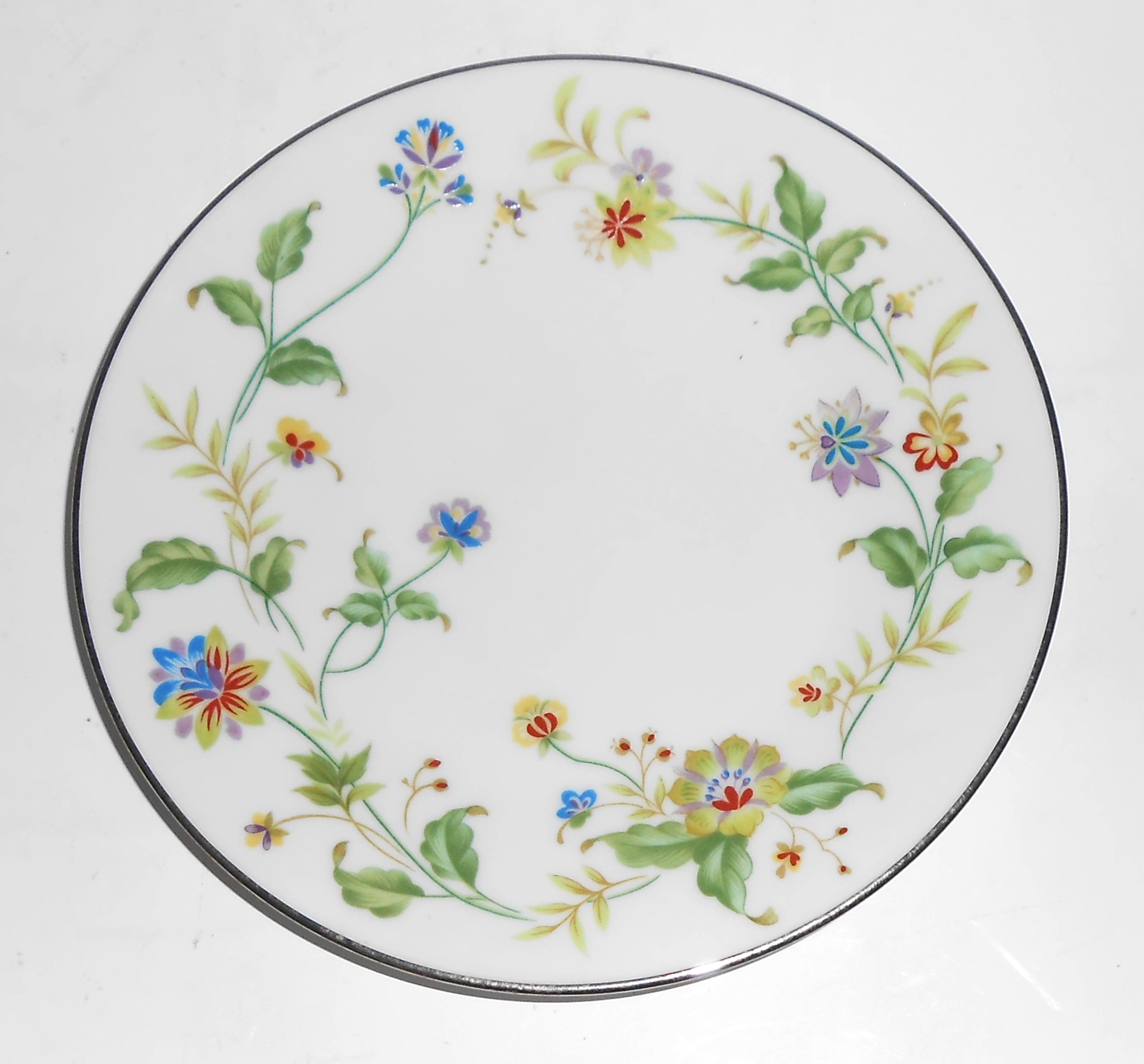 Noritake China Porcelain Nouveau Floral w/Platinum Br