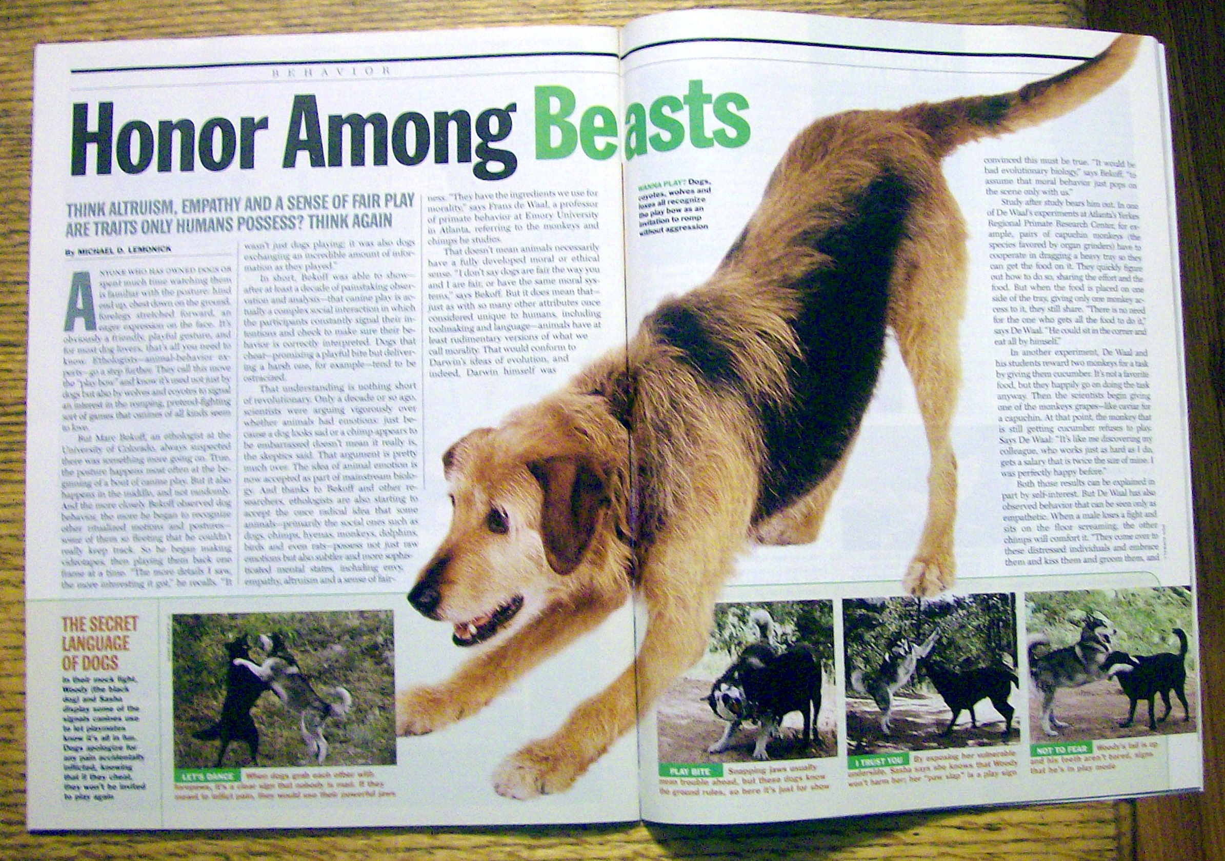 Time Magazine July 11, 2005 The Supreme Battle