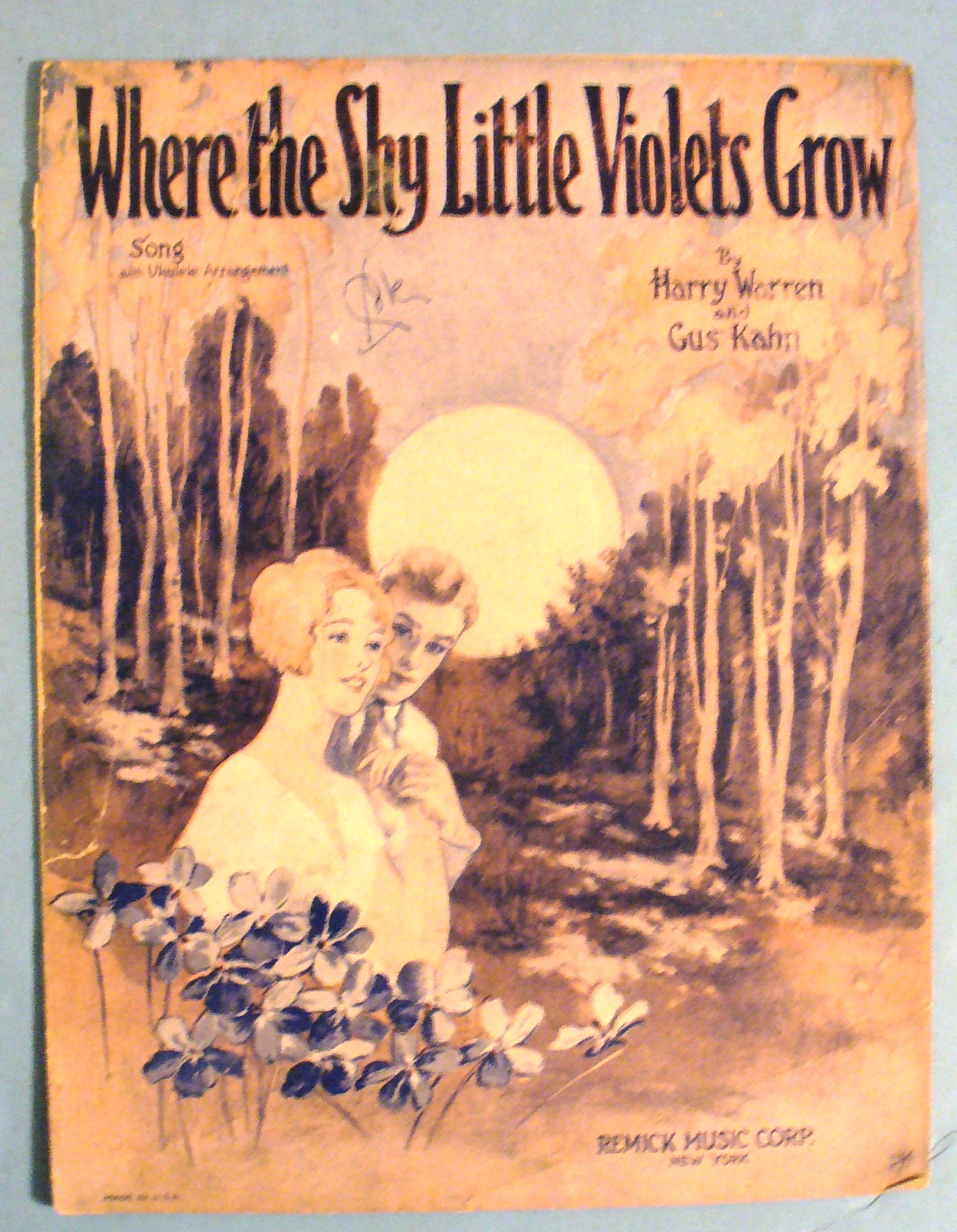 1928 Where the Shy Little Violets Grow by Harry Warren