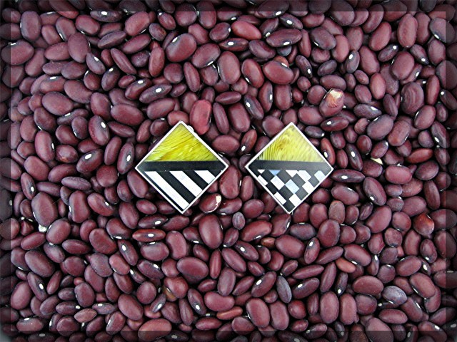 Baltic Amber Jet Sterling Silver JUDITH YOUNG  Earrings
