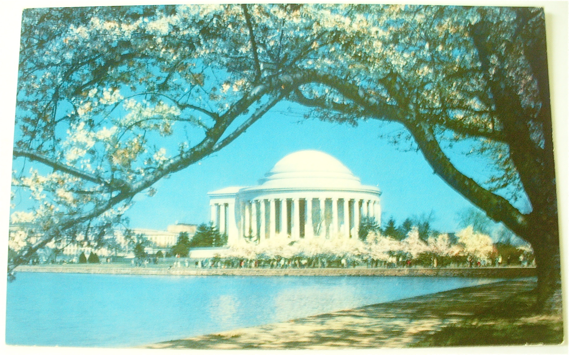 The Jefferson Memorial Postcard