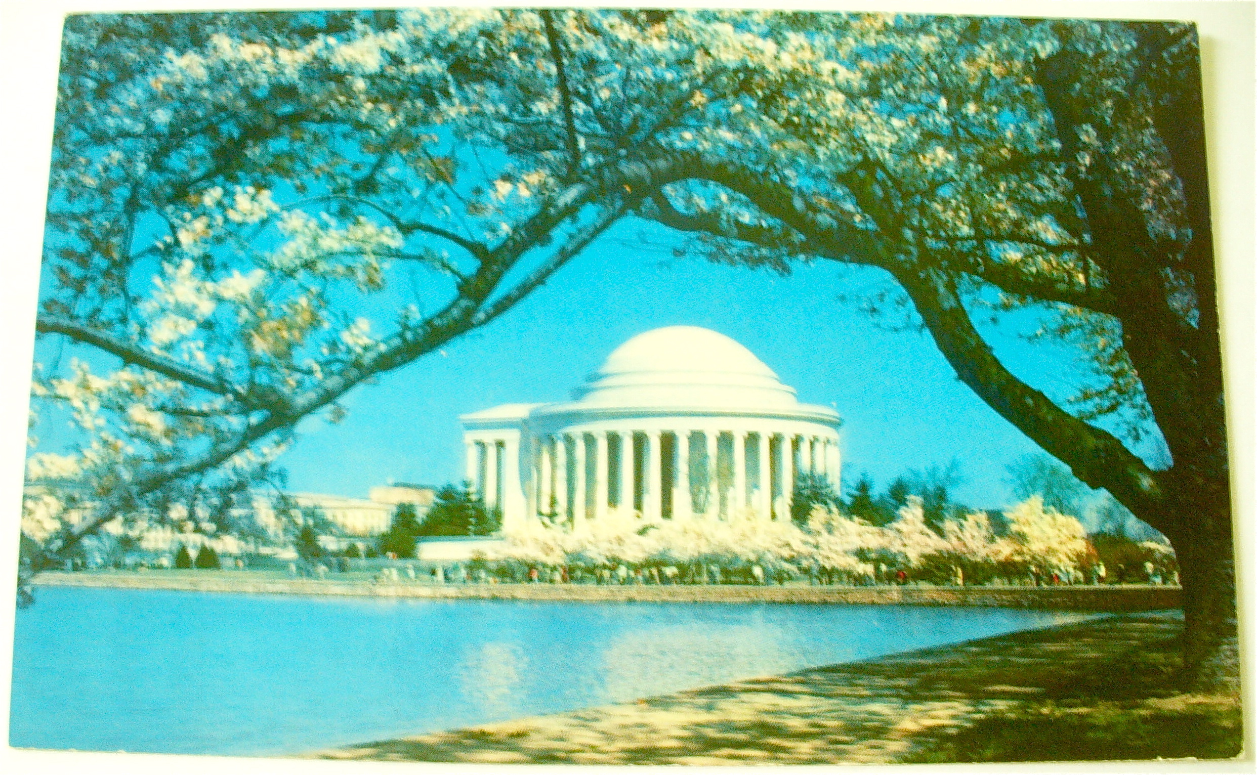The Jefferson Memorial Postcard