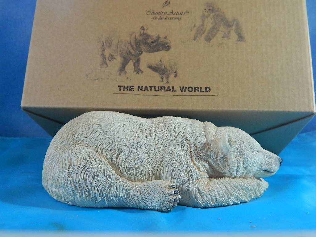Country Artists The Natural World Lying Polar Bear