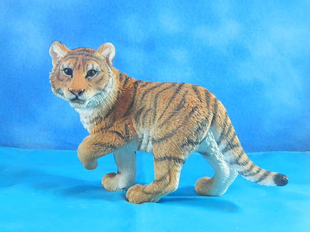 Country Artist The Natural World Tiger