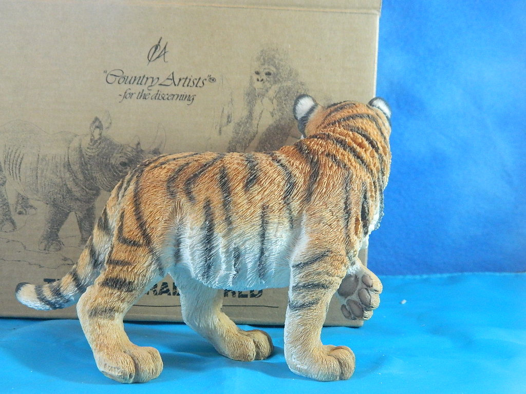 Country Artist The Natural World Tiger