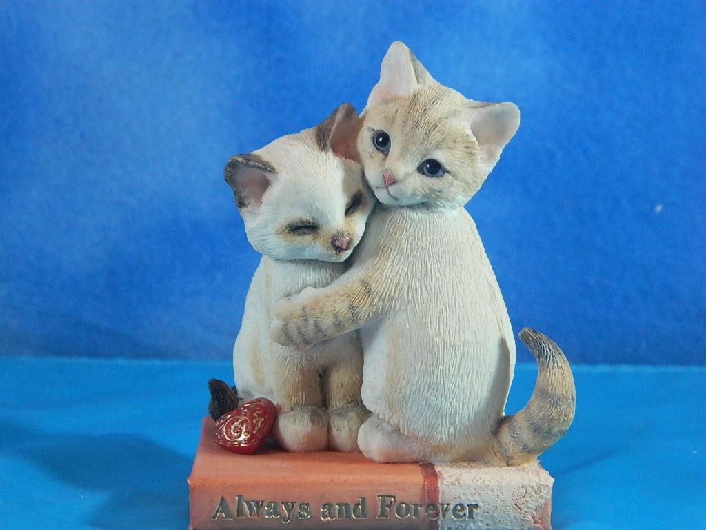 Country Artist Kittens 'Always and Forever'