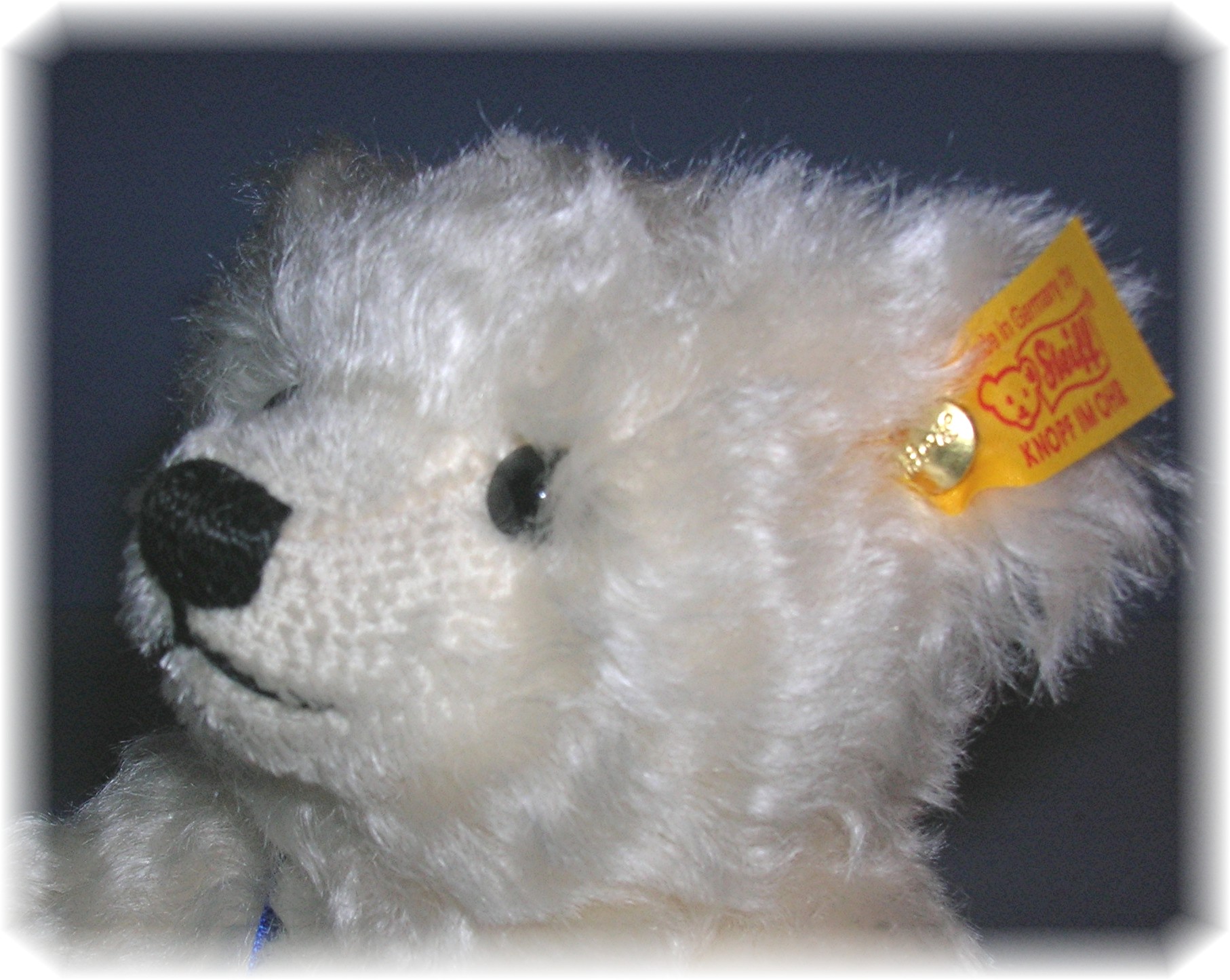 Steiff 100 Years Of Steiff In America White Teddy Bear