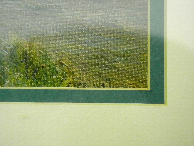 Framed, artist signed print lady by stream with ducks