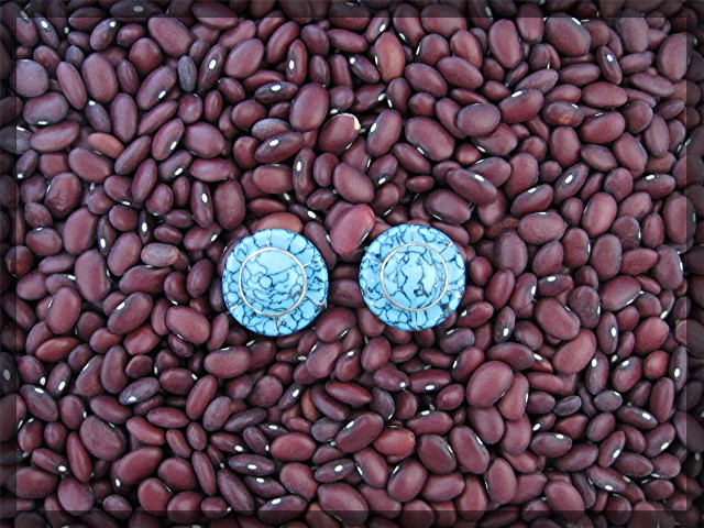 Silver Turquoise Clip Earrings