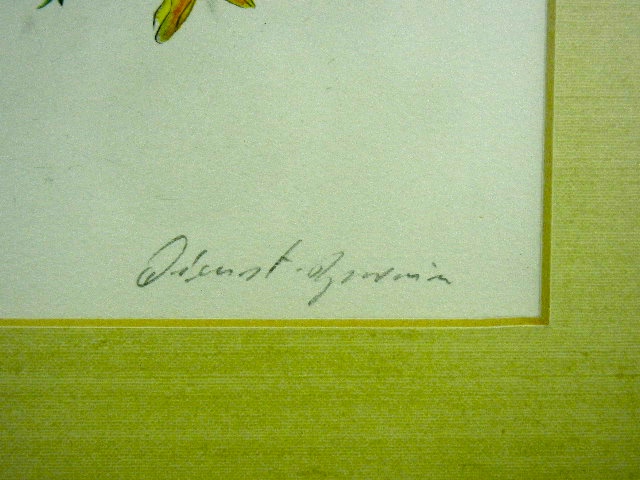Framed and matted artist signed print of flowers