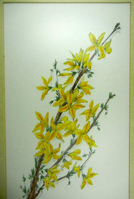 Framed and matted artist signed print of flowers