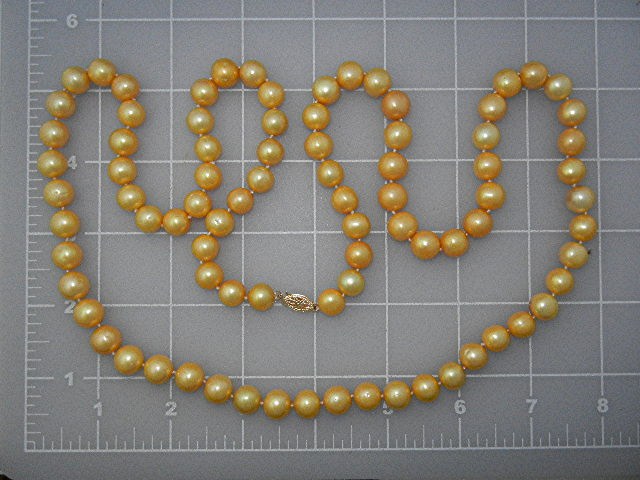 14K Gold Gold South Sea Pearls 10.5mm