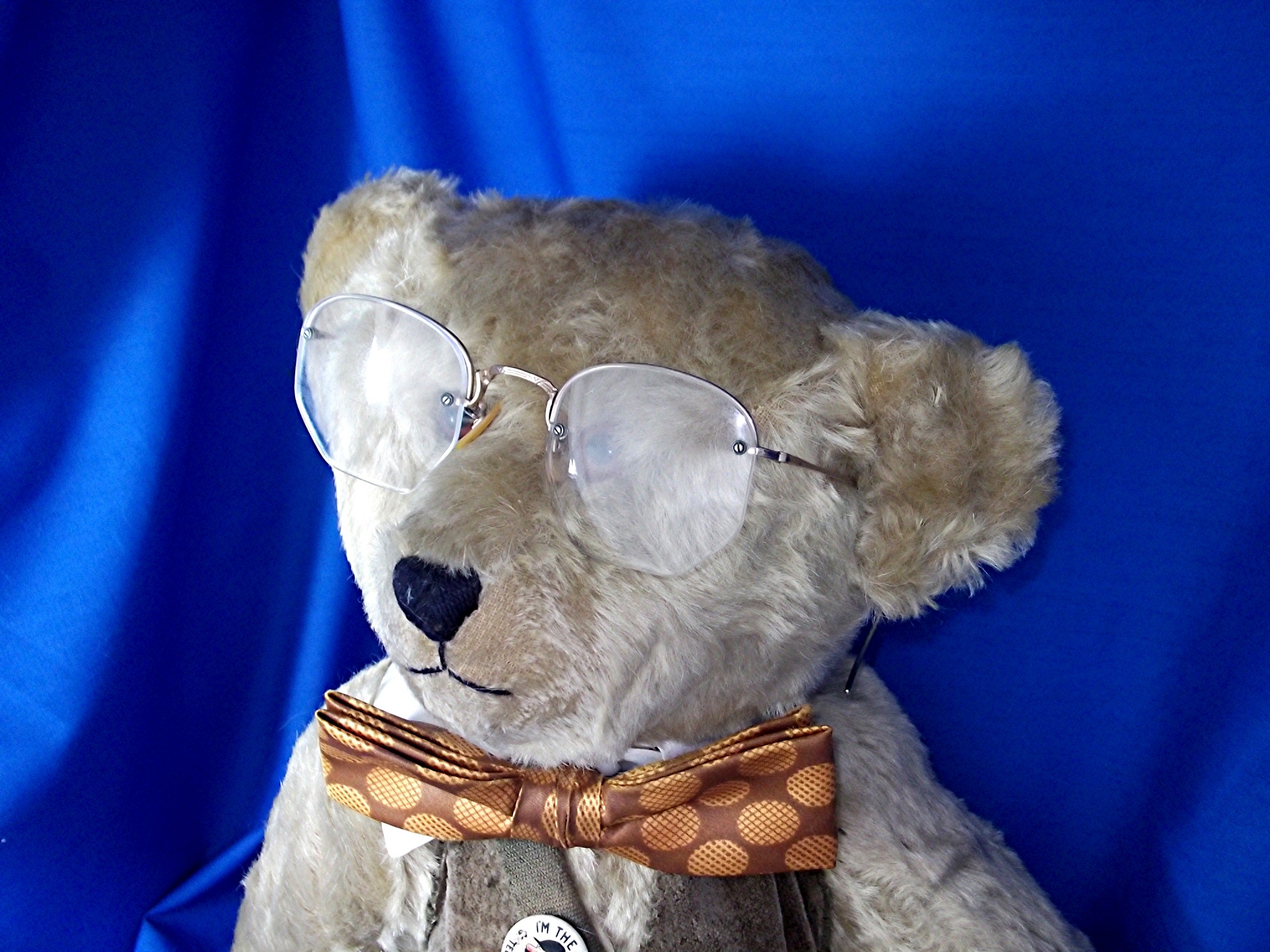 Bear-y Patch Bear - Grumpus  19 inch  # 40 of 50