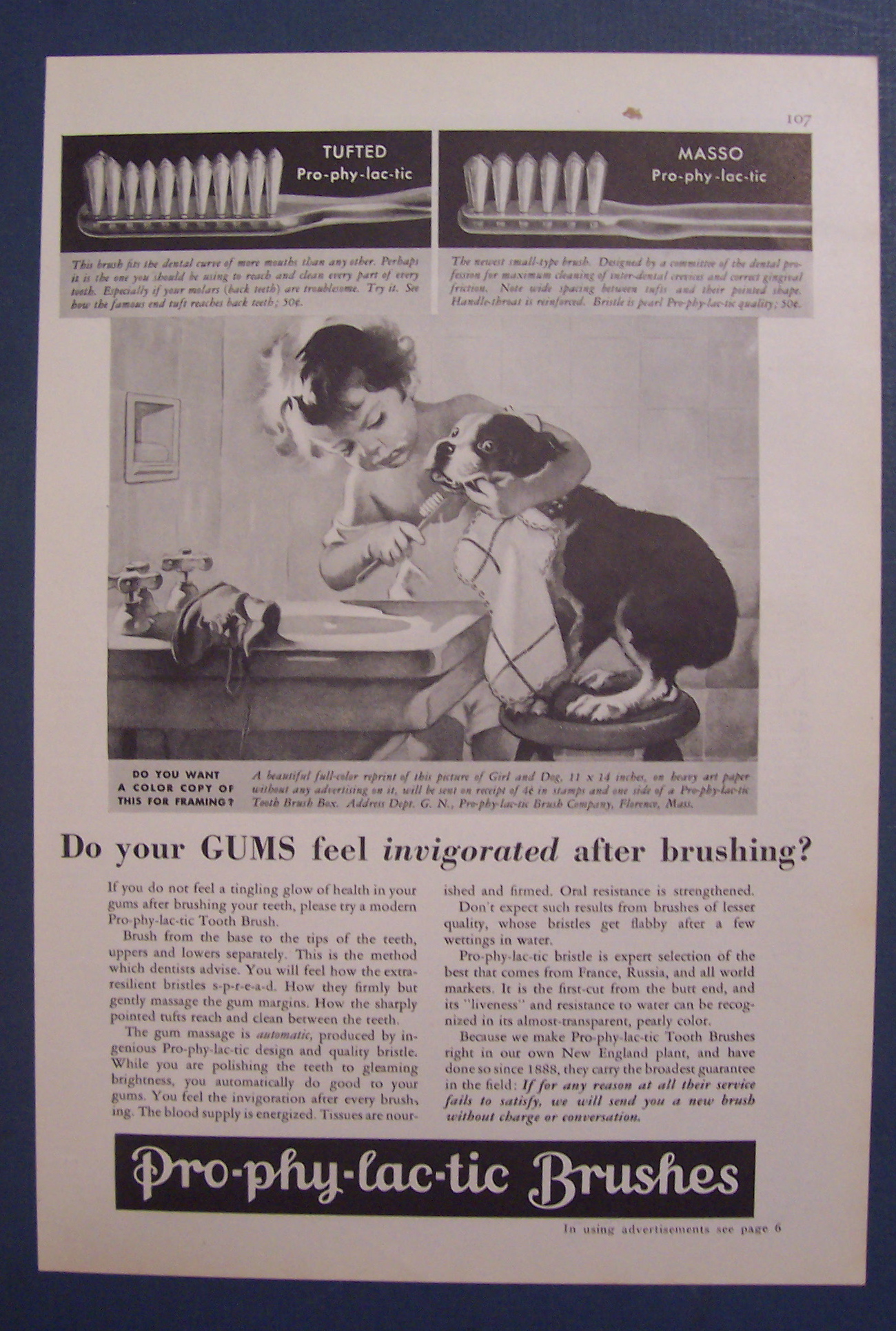 1930 Pro-Phy-Lac-Tic Tooth Brush