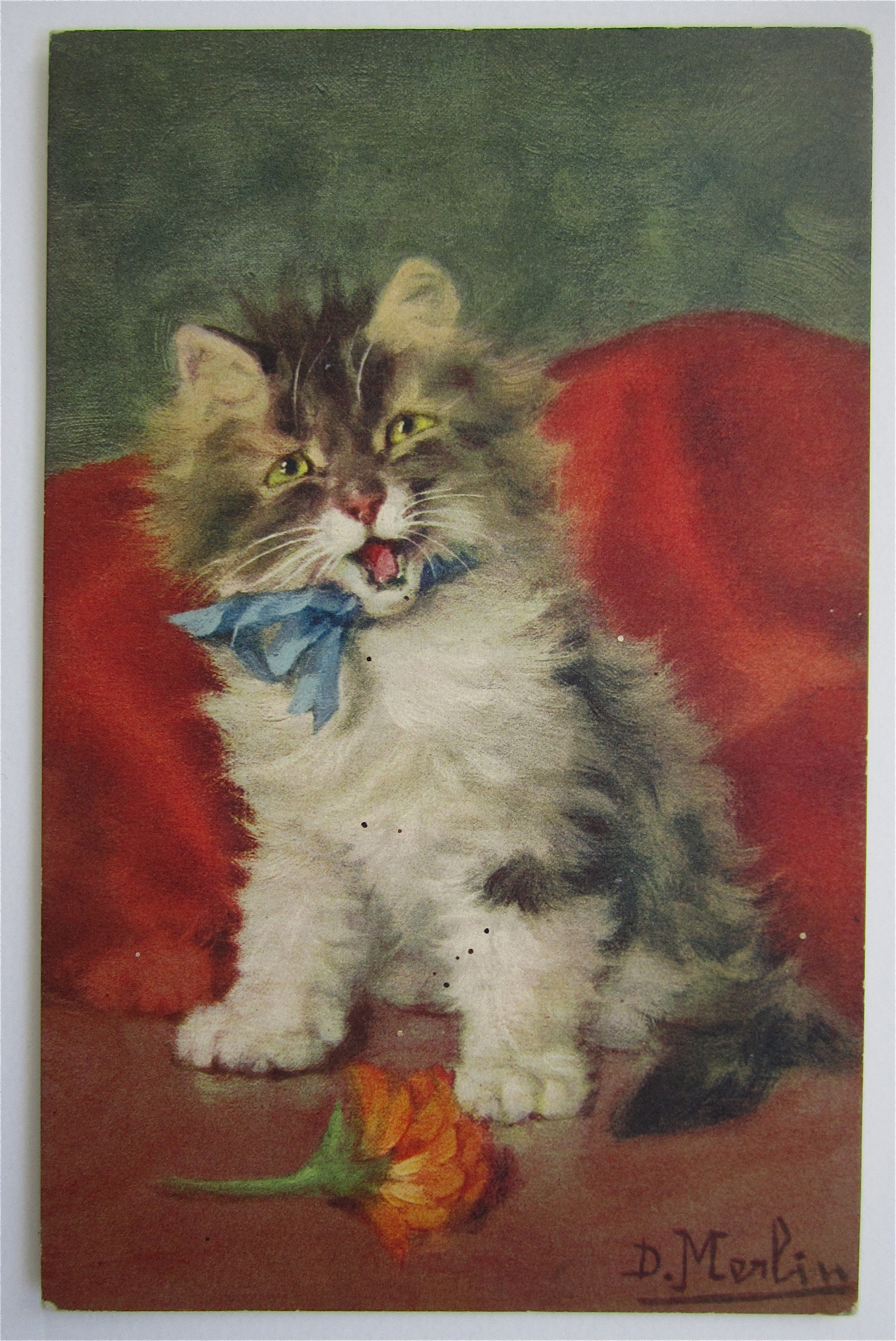 Cat Sitting In Front Of Flower Postcard
