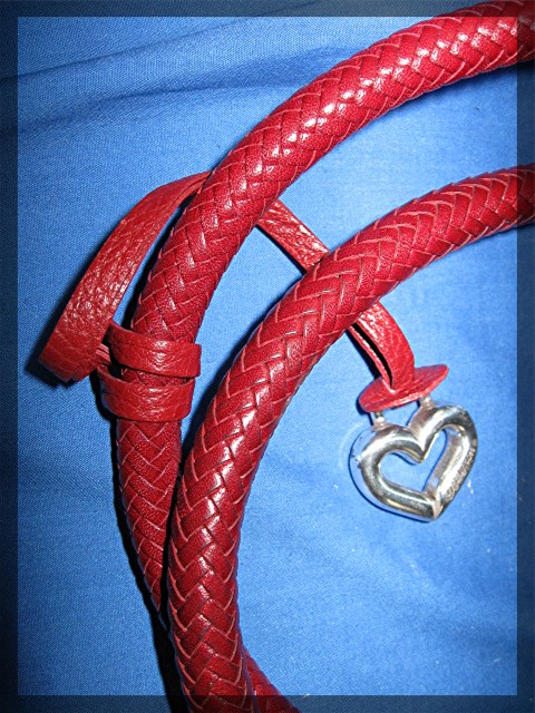 Brighton Handbag, Red pebble leather