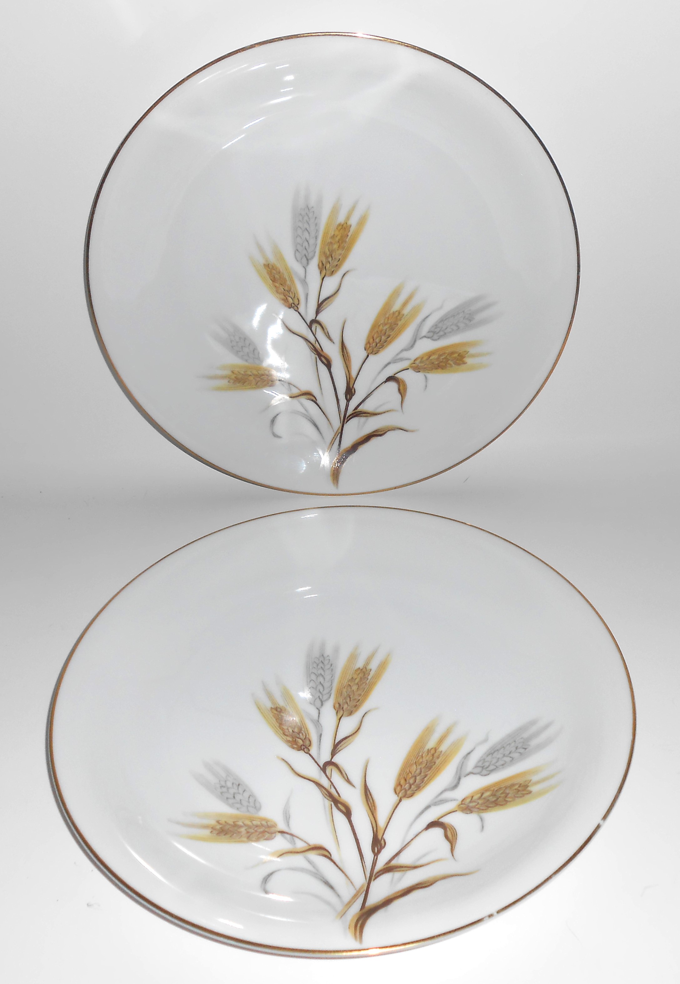 Noritake China Porcelain Wheaton Gold 5414 Pair Dinner