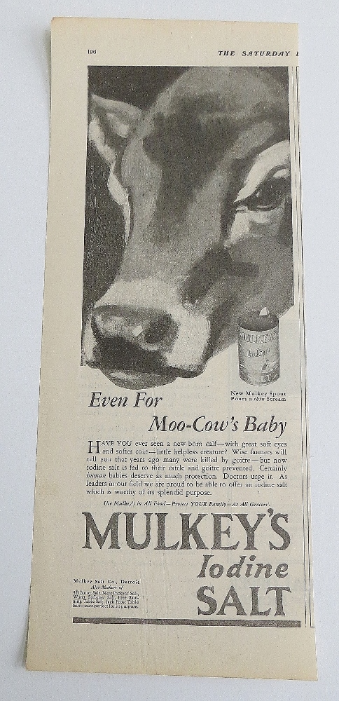1927 Mulkey's Iodine Salt With Baby Cow