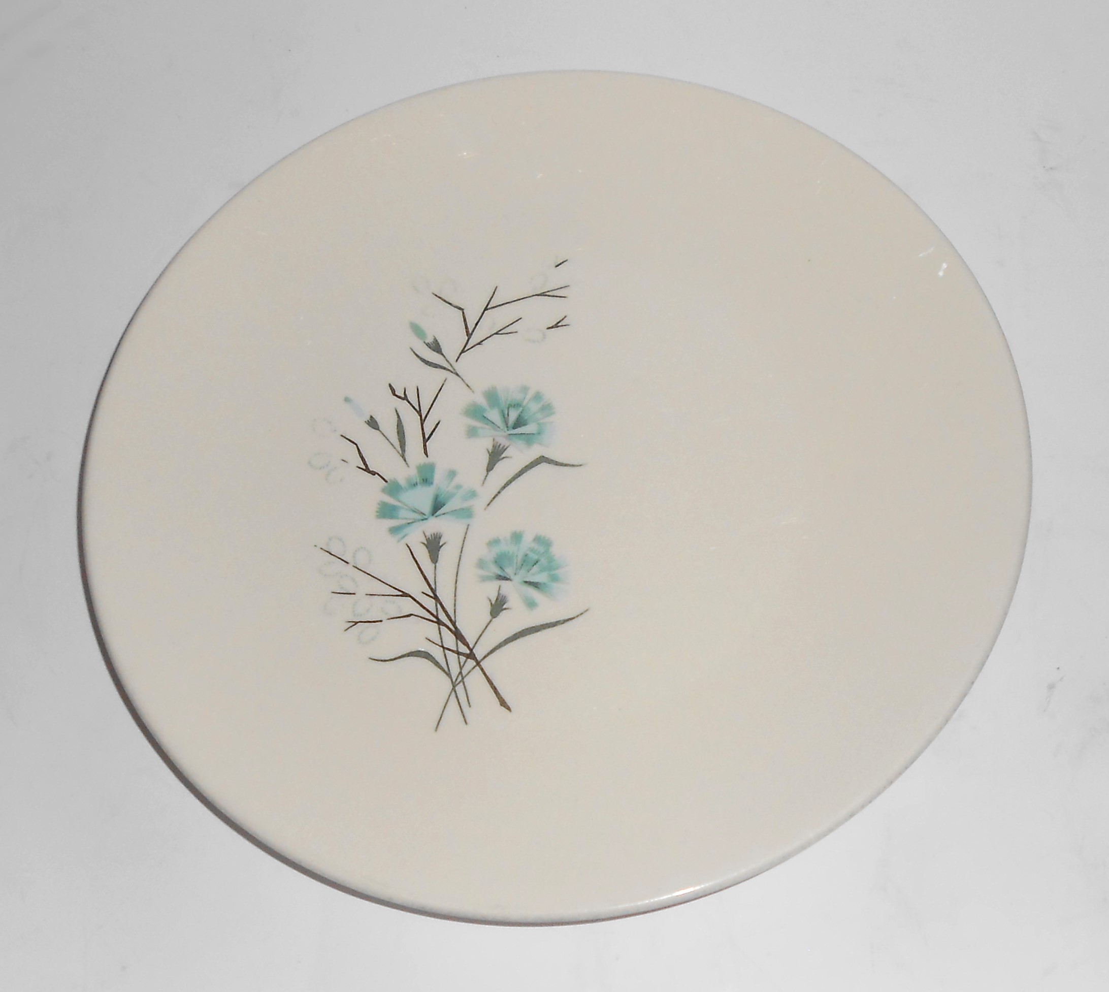 Taylor Smith Taylor China Floral Salad Plate