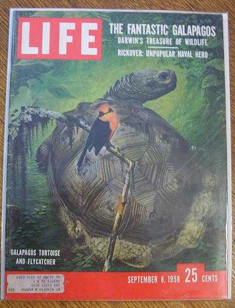 Life Magazine-September 8, 1958-Fantastic Galapagos