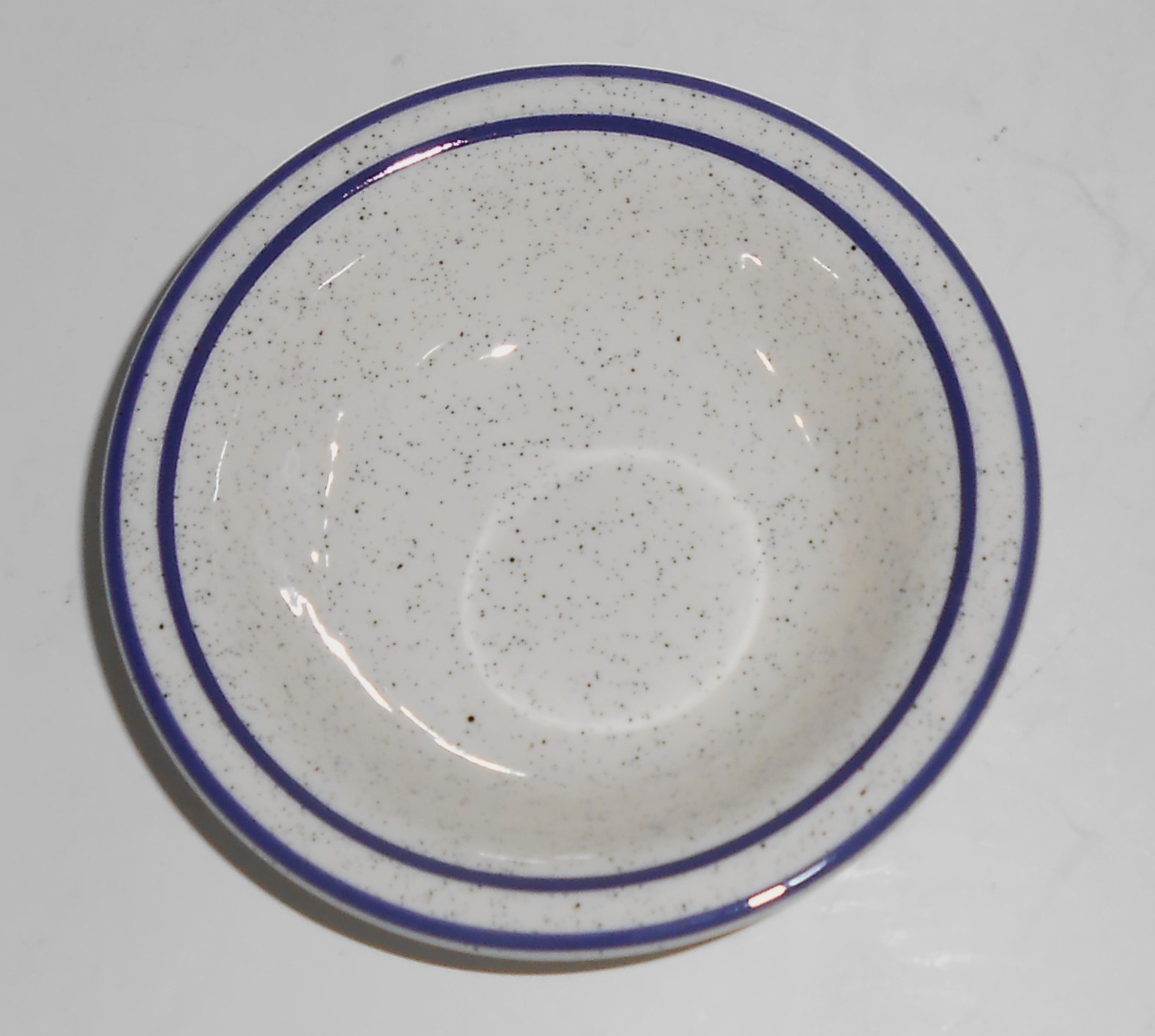 Buffalo Restaurant Ware China Blue Bands / Speckled Fru