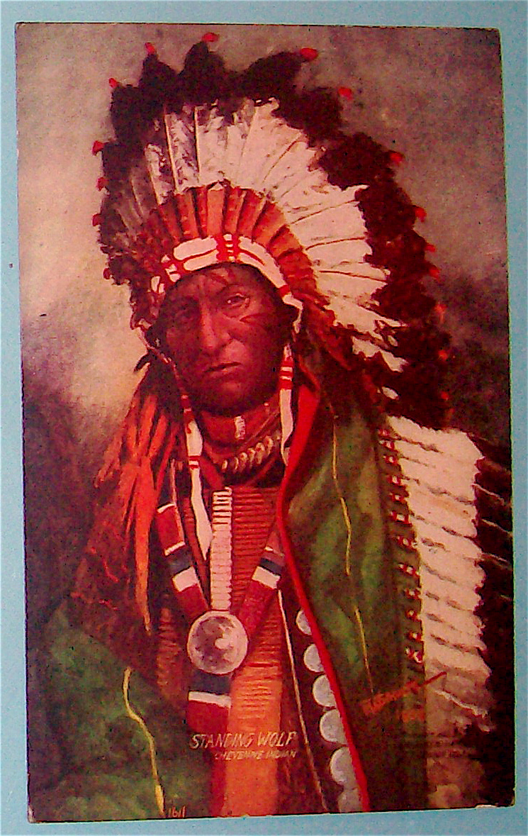 Standing Wolf (Cheyenne Indian) Postcard-Indians Coming