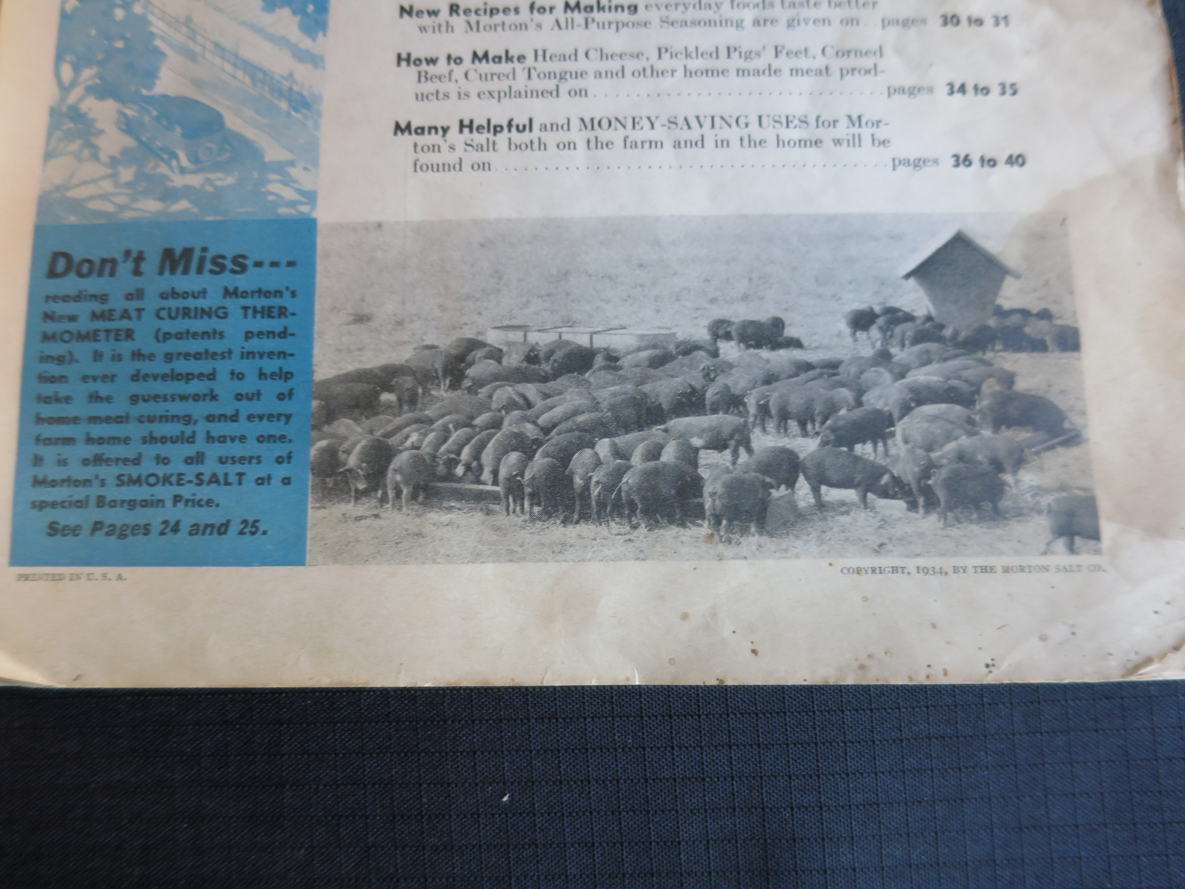 Meat Curing made easy Sausage Making and many uses 1920