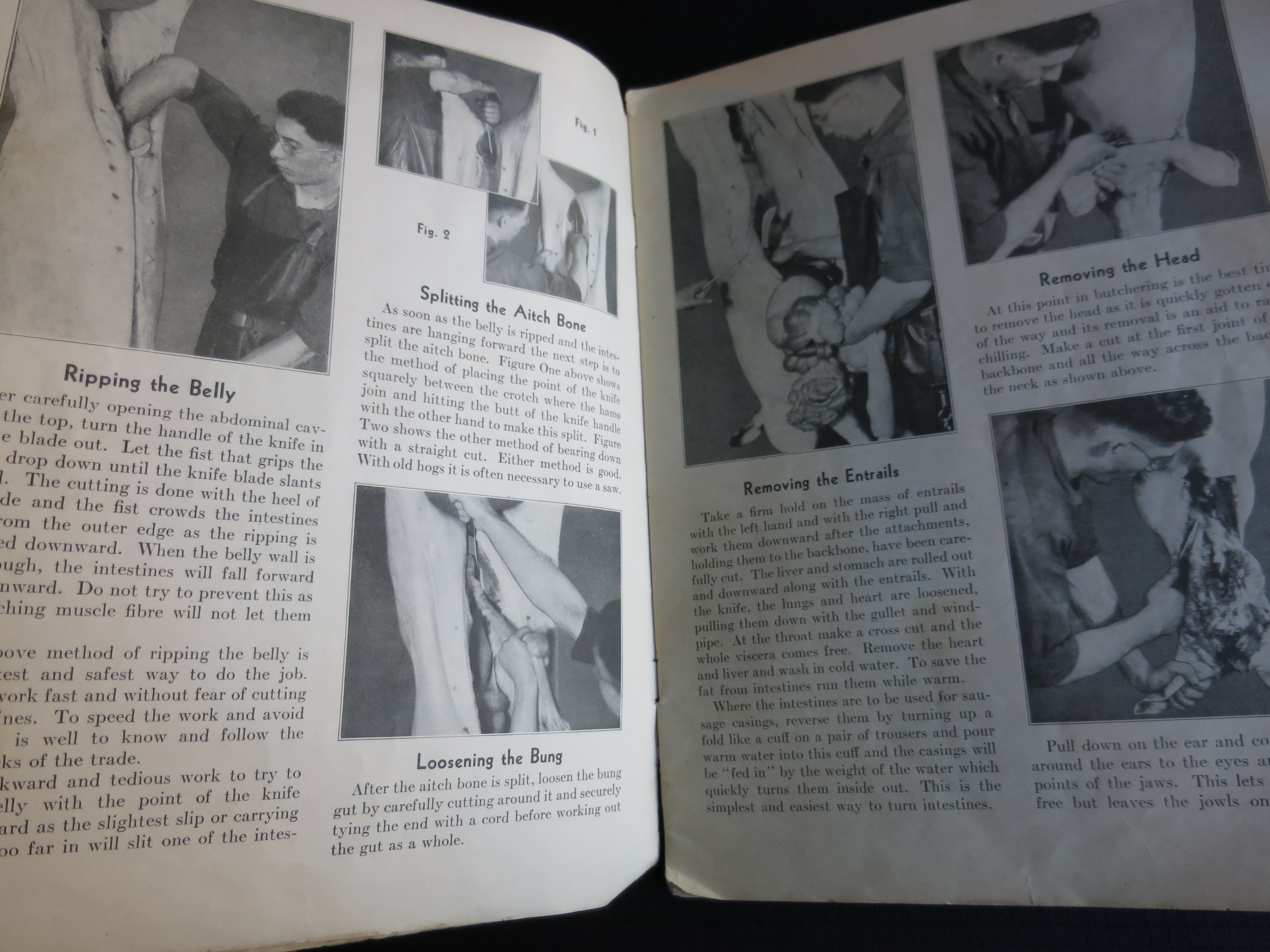 Meat Curing made easy Sausage Making and many uses 1920